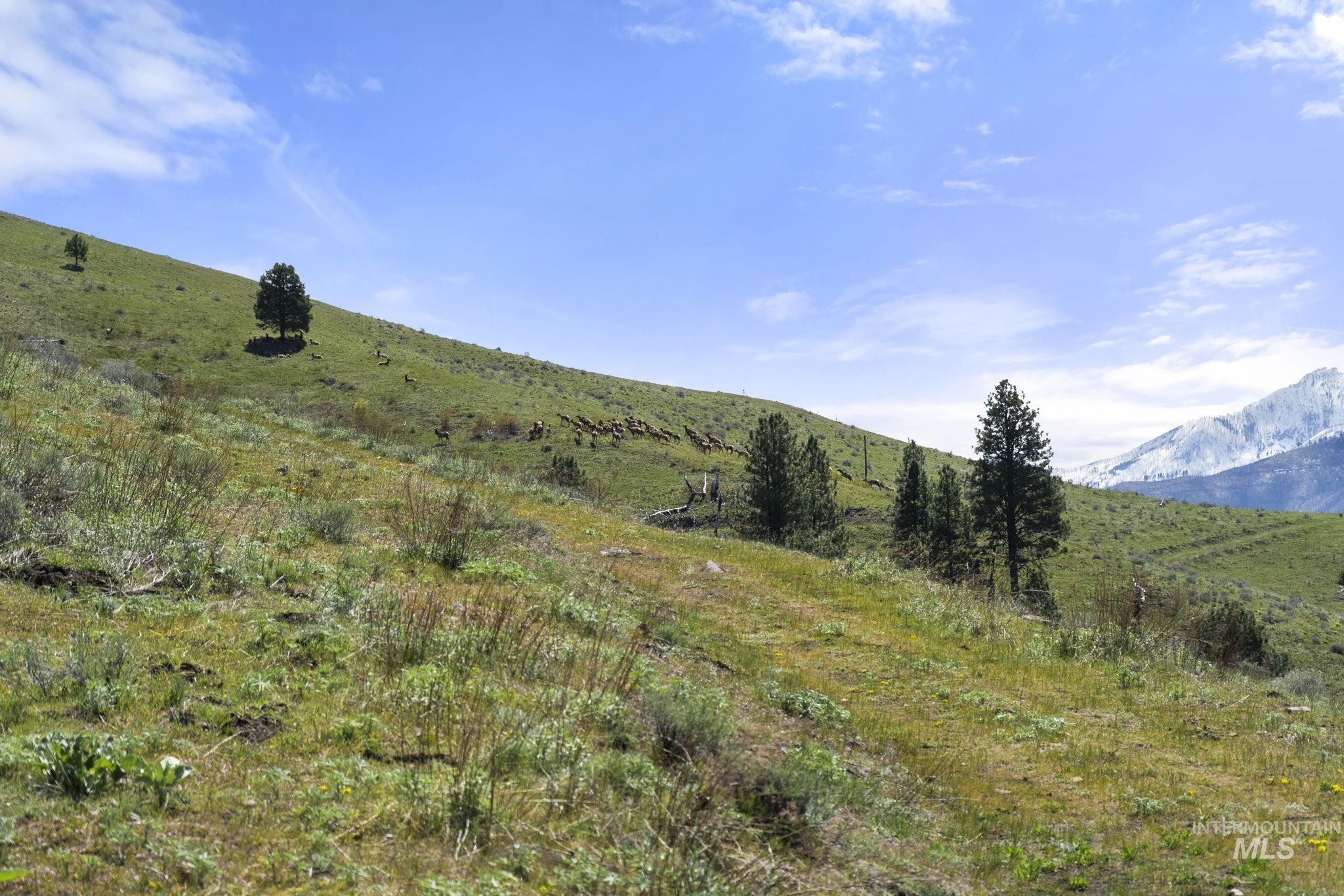 TBD Lightning Creek, Riggins, Idaho 83549, Farm & Ranch For Sale, Price $7,100,000, 98946876
