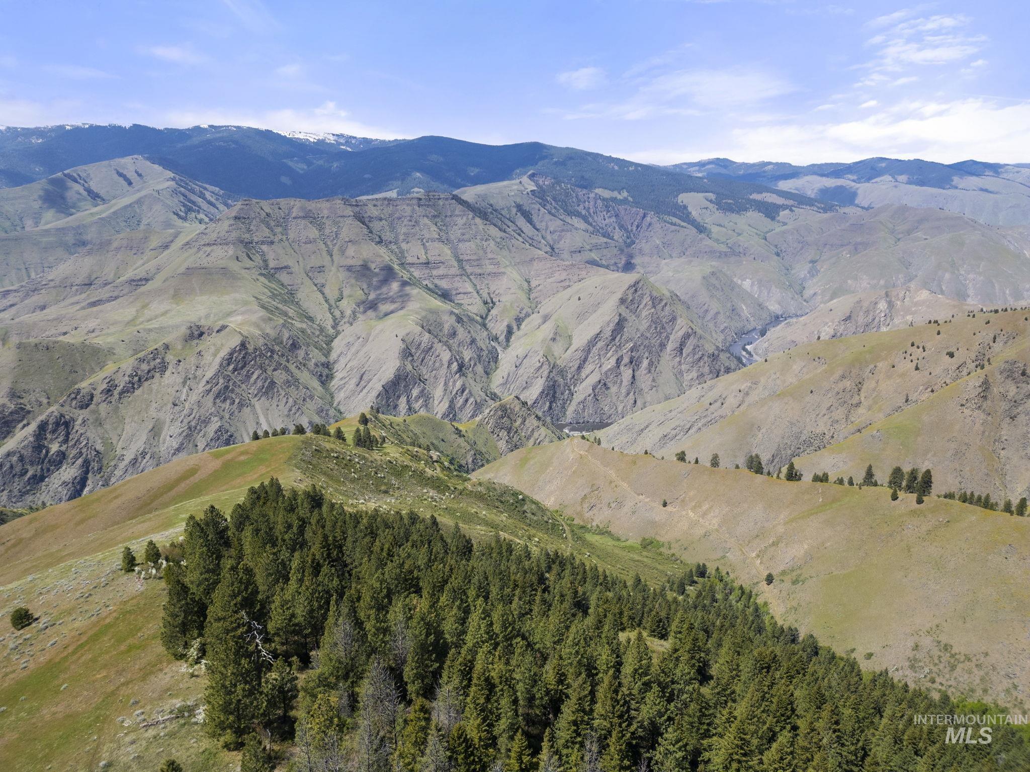 TBD Lightning Creek, Riggins, Idaho 83549, Land For Sale, Price $2,100,000, 98946881
