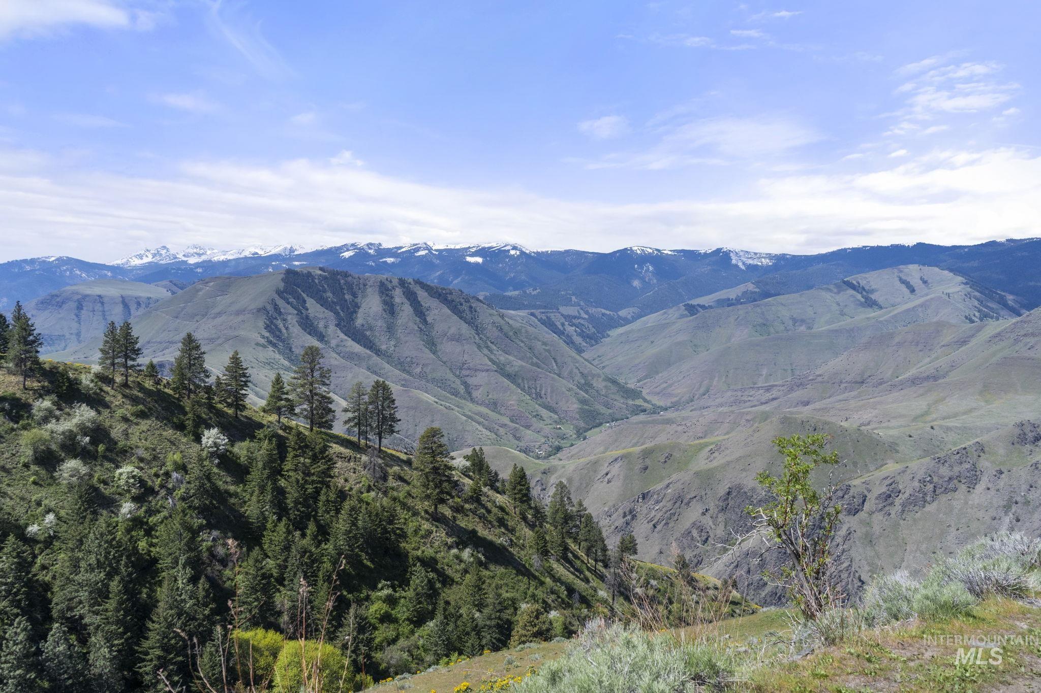 TBD Lightning Creek, Riggins, Idaho 83549, Land For Sale, Price $2,100,000, 98946881