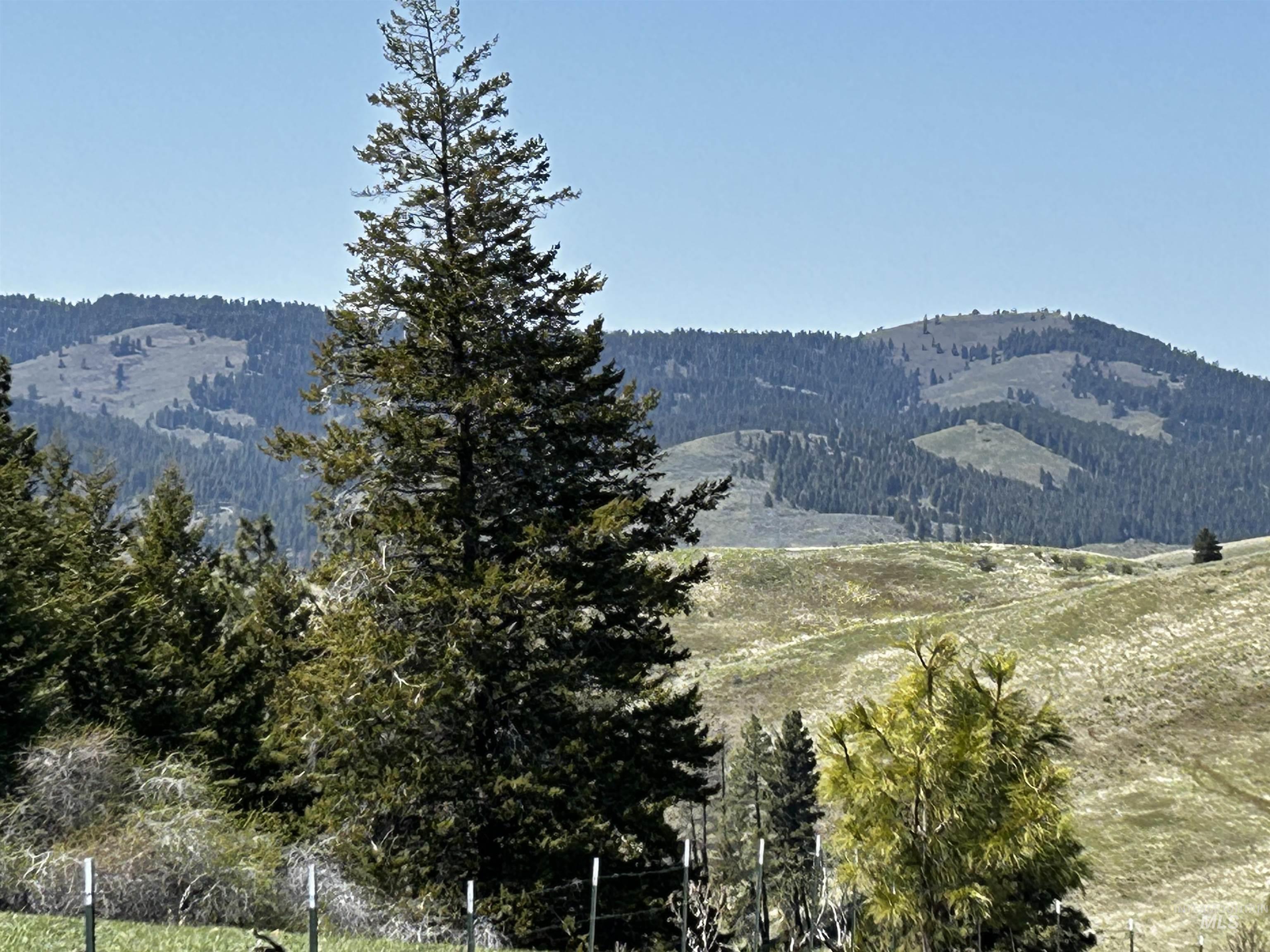 3534 Advent Gulch, Cambridge, Idaho 83610, 3 Bedrooms, 2 Bathrooms, Residential For Sale, Price $685,000, 98946896