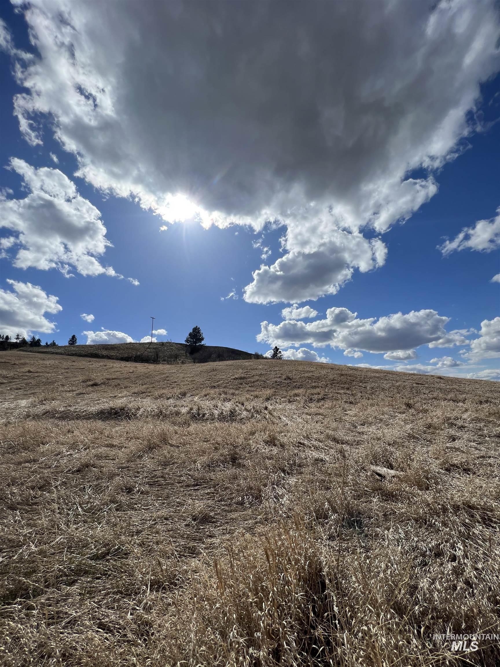 NKA Raven Dr., Culdesac, Idaho 83524, Land For Sale, Price $99,000, 98946919