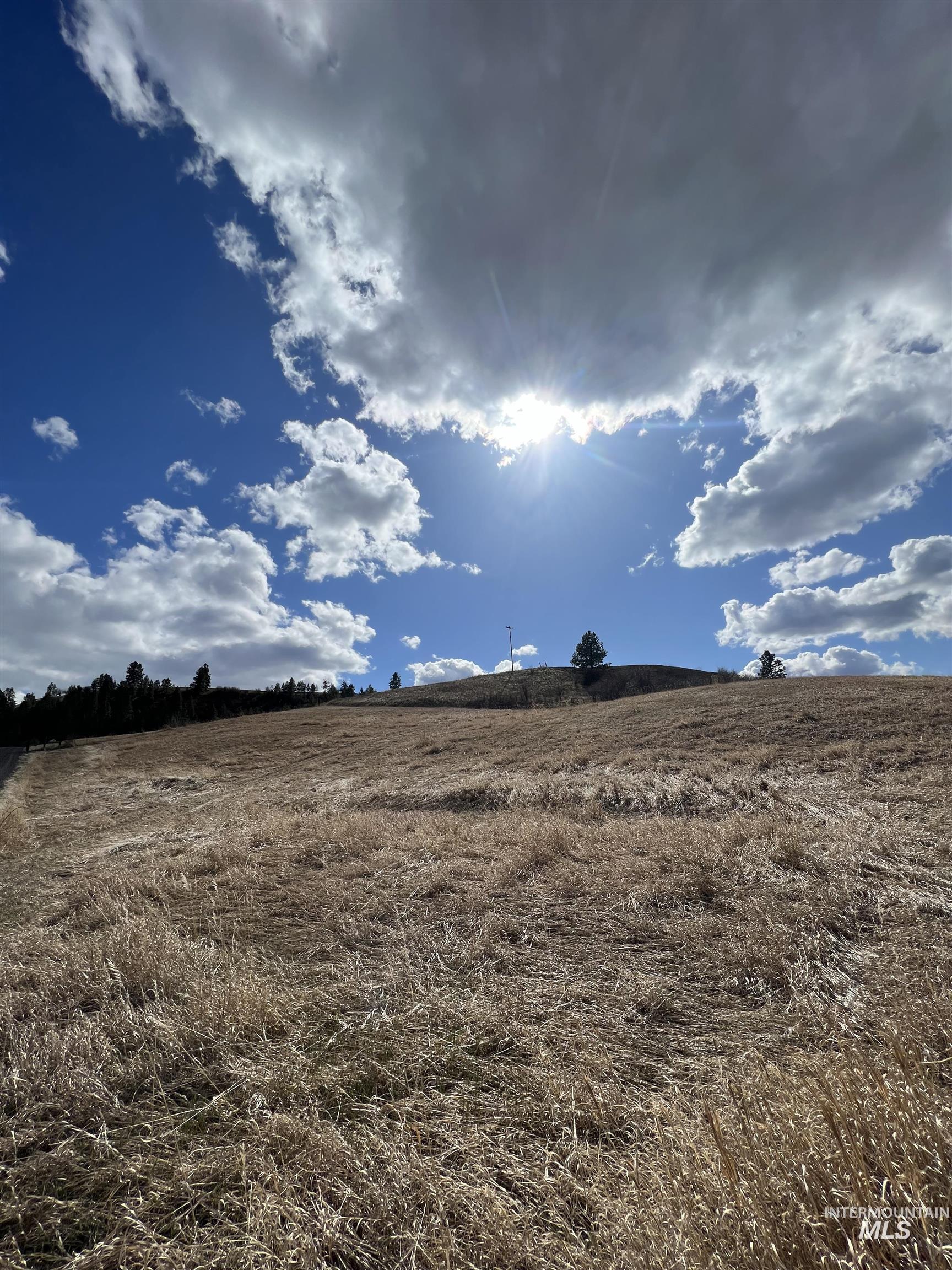 NKA Raven Dr., Culdesac, Idaho 83524, Land For Sale, Price $99,000, 98946919