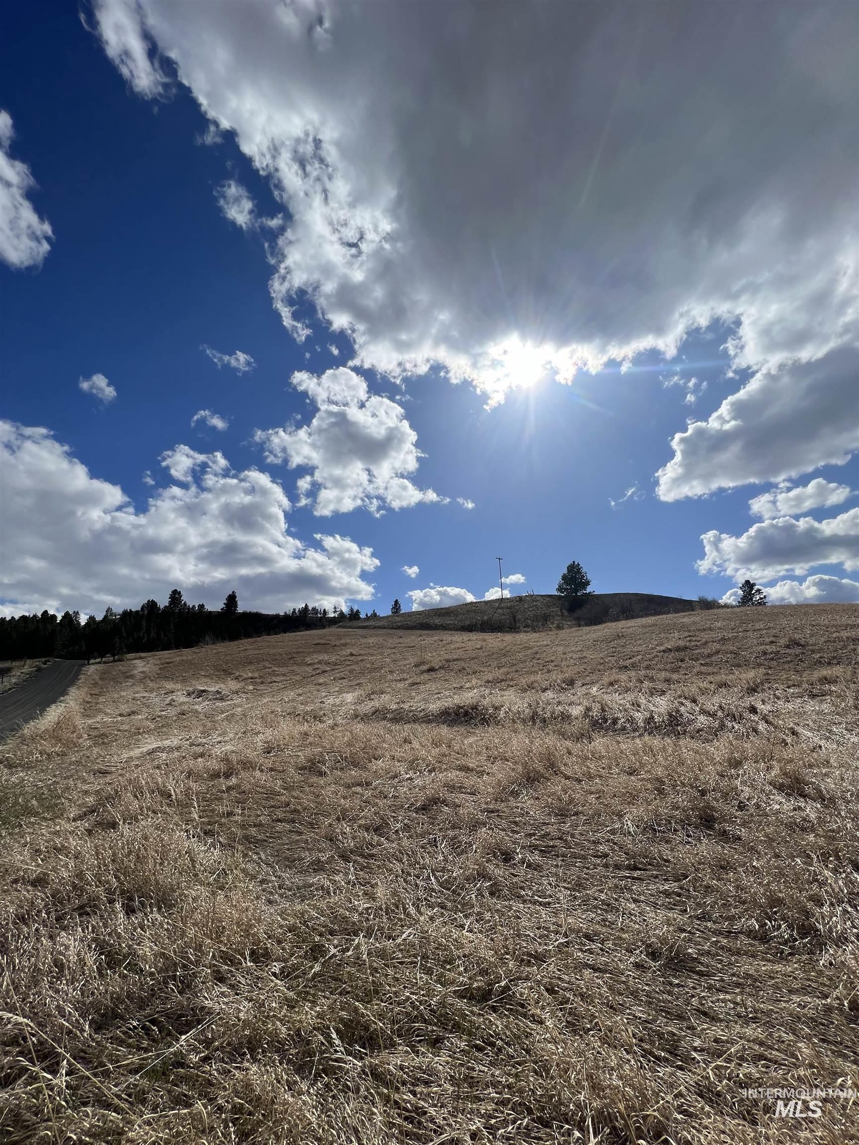 NKA Raven Dr., Culdesac, Idaho 83524, Land For Sale, Price $99,000, 98946919