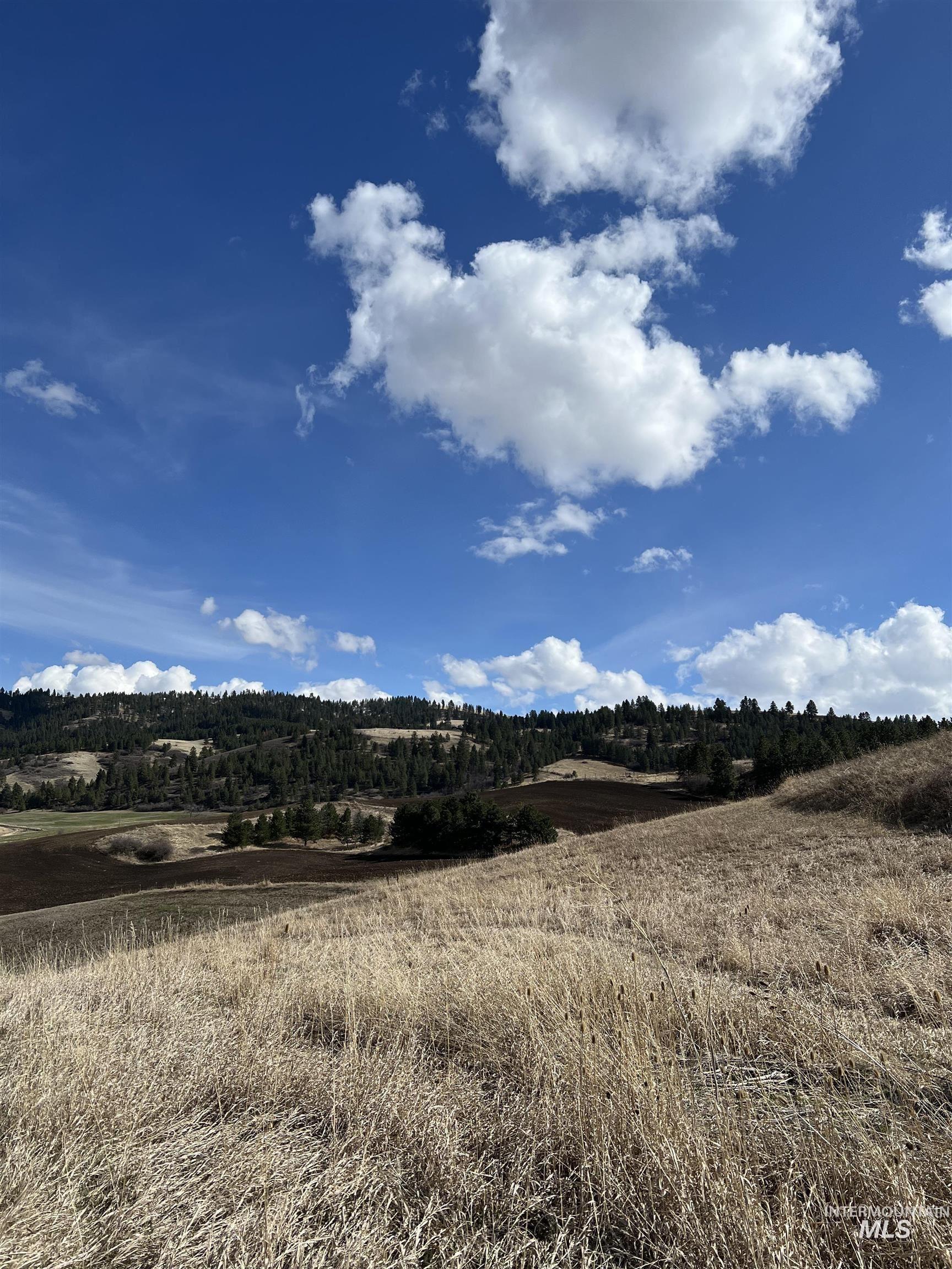 NKA Raven Dr., Culdesac, Idaho 83524, Land For Sale, Price $99,000, 98946919