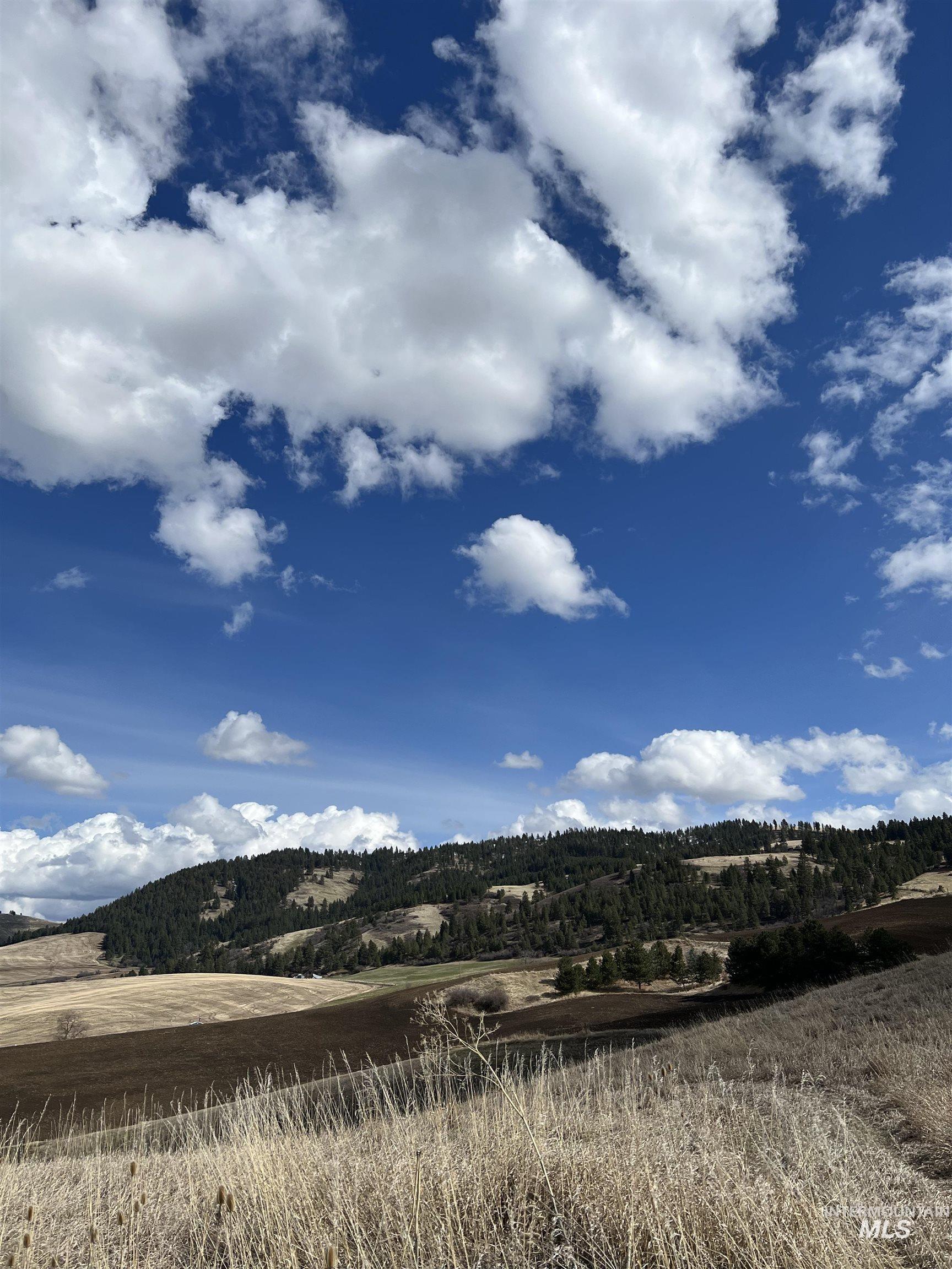 NKA Raven Dr., Culdesac, Idaho 83524, Land For Sale, Price $99,000, 98946919