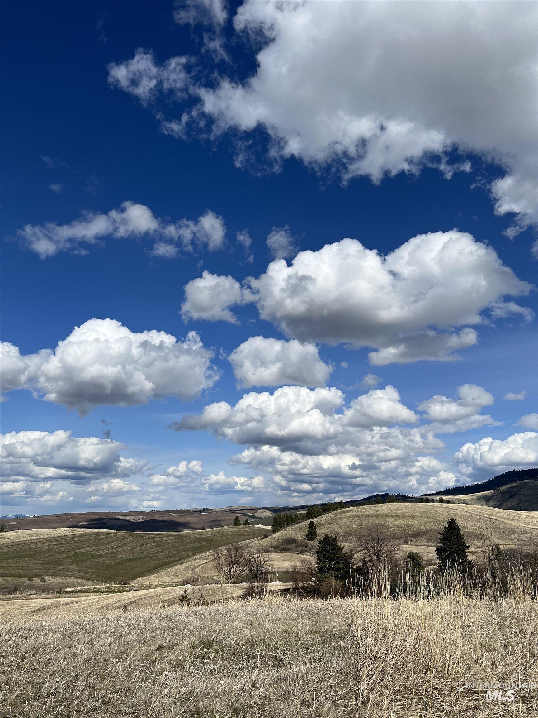NKA Raven Dr., Culdesac, Idaho 83524, Land For Sale, Price $99,000, 98946919