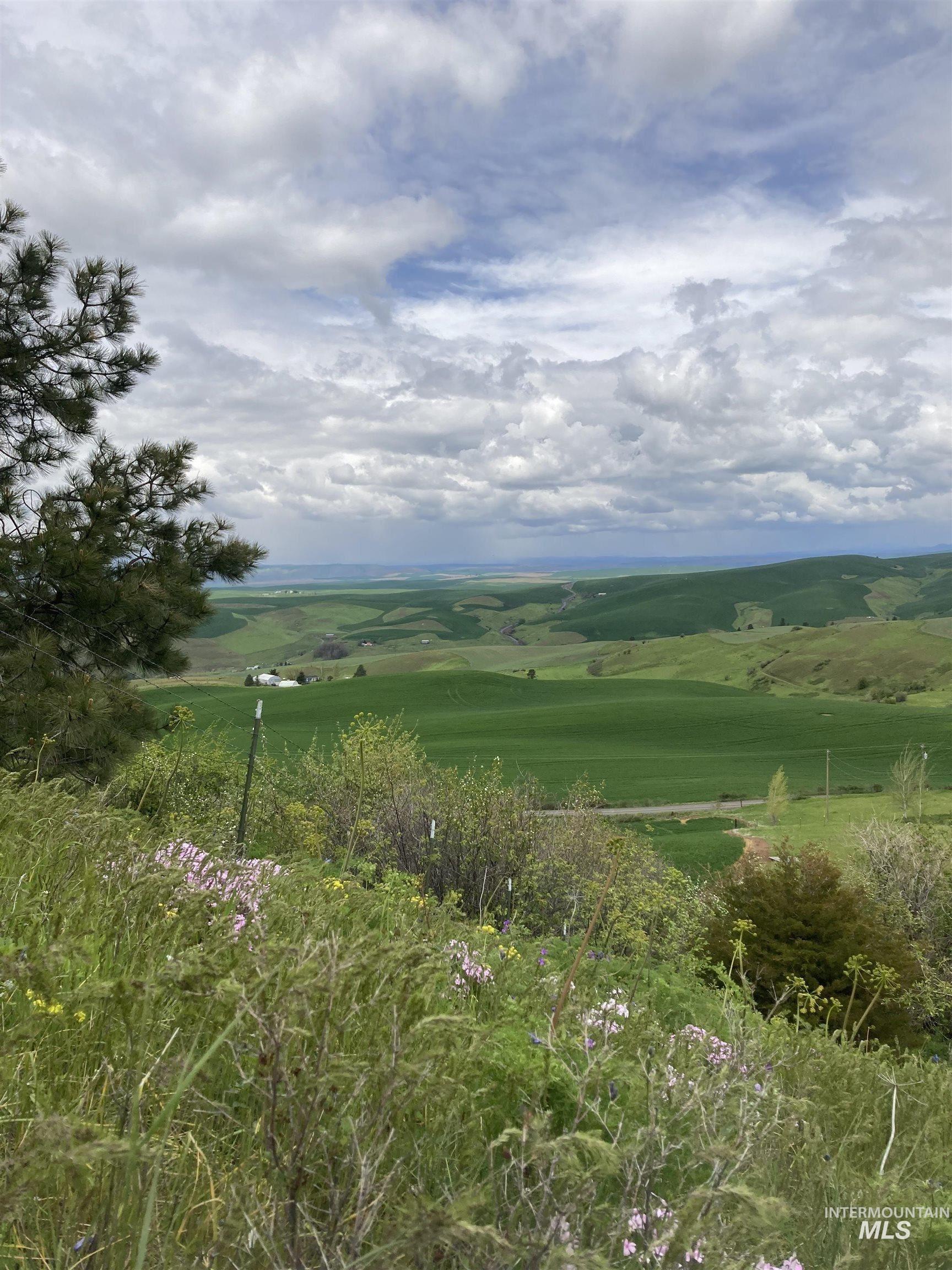 NKA Raven Dr., Culdesac, Idaho 83524, Land For Sale, Price $99,000, 98946919