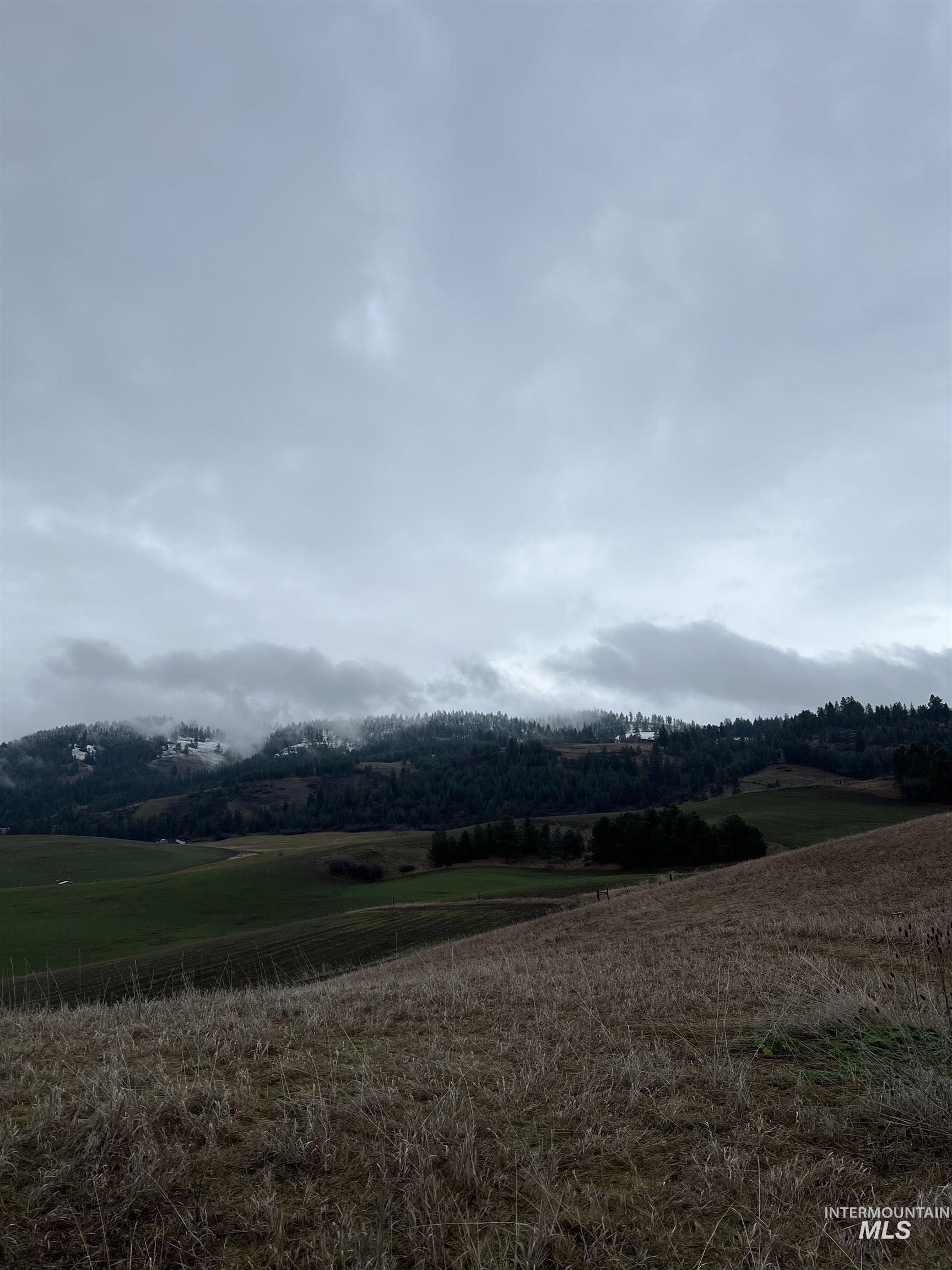 NKA Raven Dr., Culdesac, Idaho 83524, Land For Sale, Price $99,000, 98946919