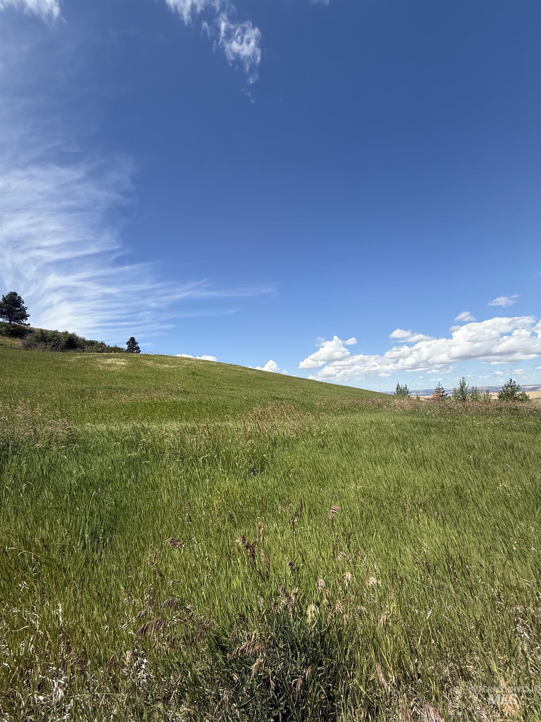 NKA Raven Dr., Culdesac, Idaho 83524, Land For Sale, Price $99,000, 98946919