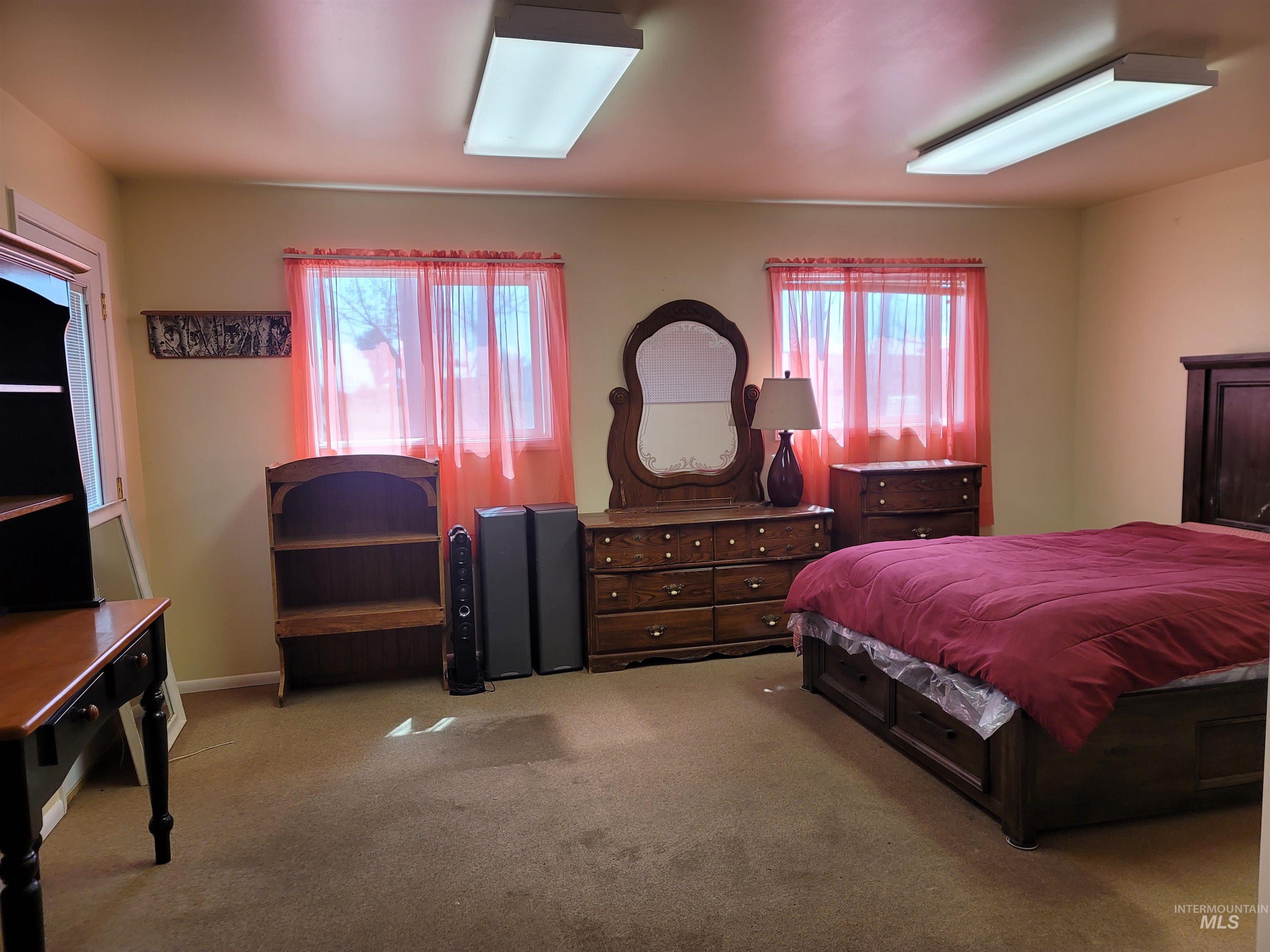 Carpeted bedroom with multiple windows