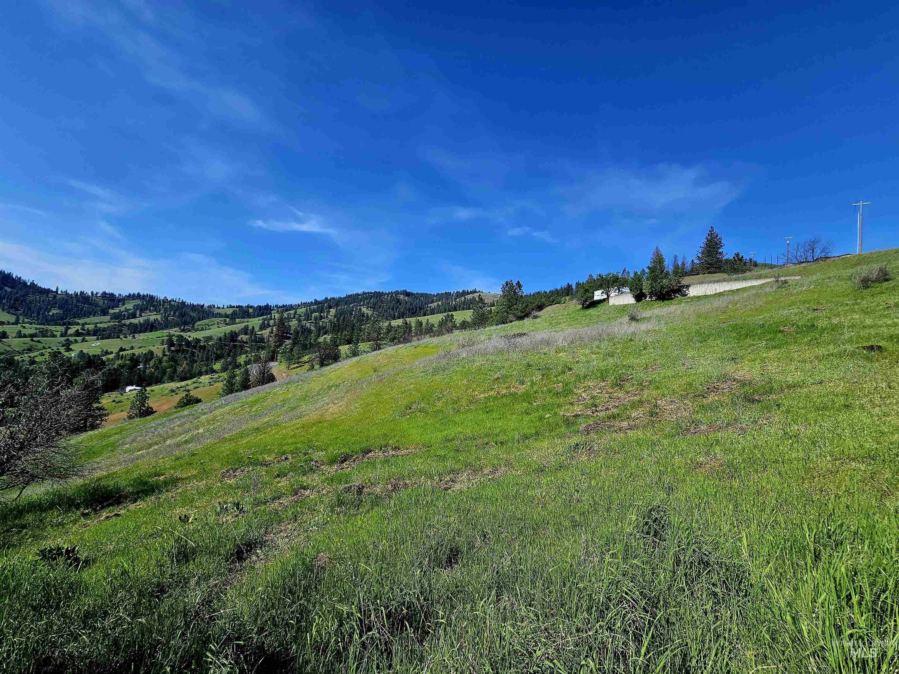 91 Shasta Cir, Orofino, Idaho 83544, Land For Sale, Price $179,000, 98946949