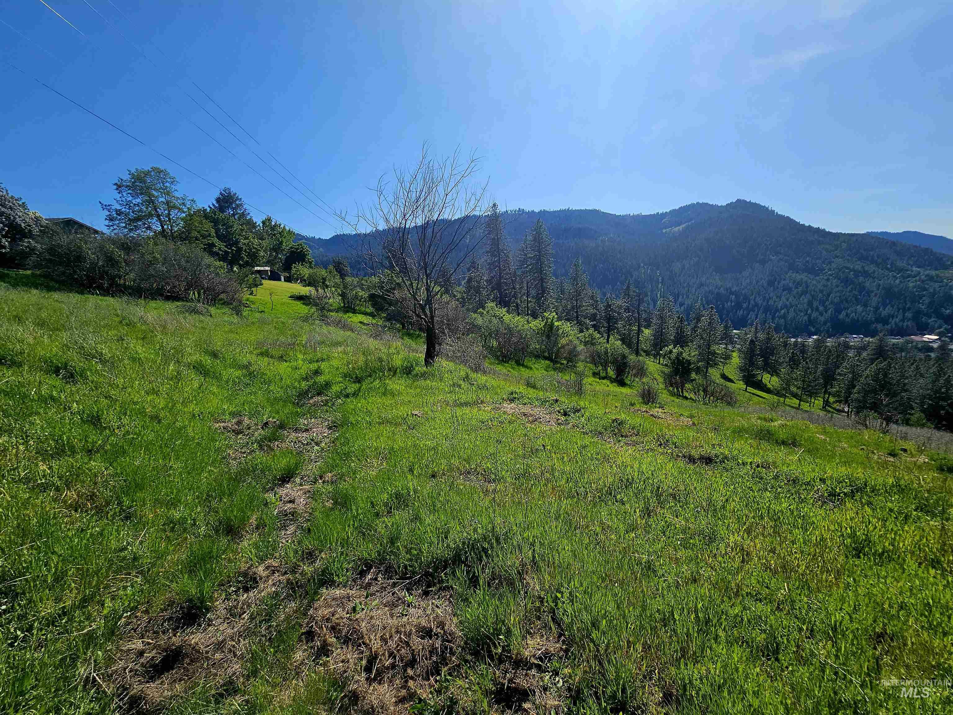 91 Shasta Cir, Orofino, Idaho 83544, Land For Sale, Price $179,000, 98946949
