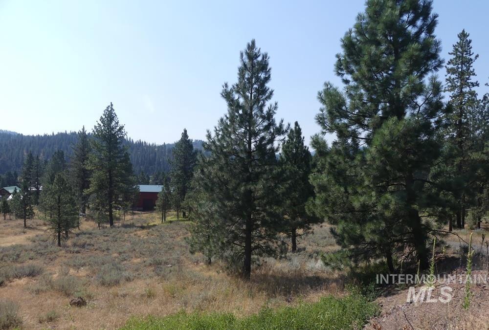 2597 Price Valley Rd, New Meadows, Idaho 83654, 3 Bedrooms, 3 Bathrooms, Residential For Sale, Price $899,000, 98946965