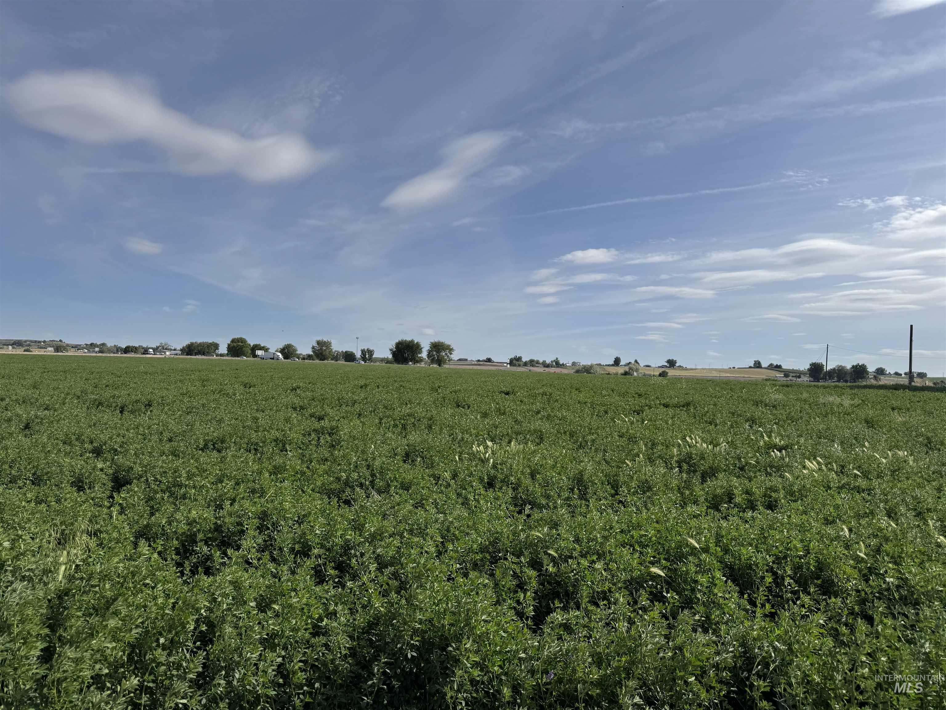 TBD SW 1st Avenue, Fruitland, Idaho 83619, Land For Sale, Price $875,000, 98947062