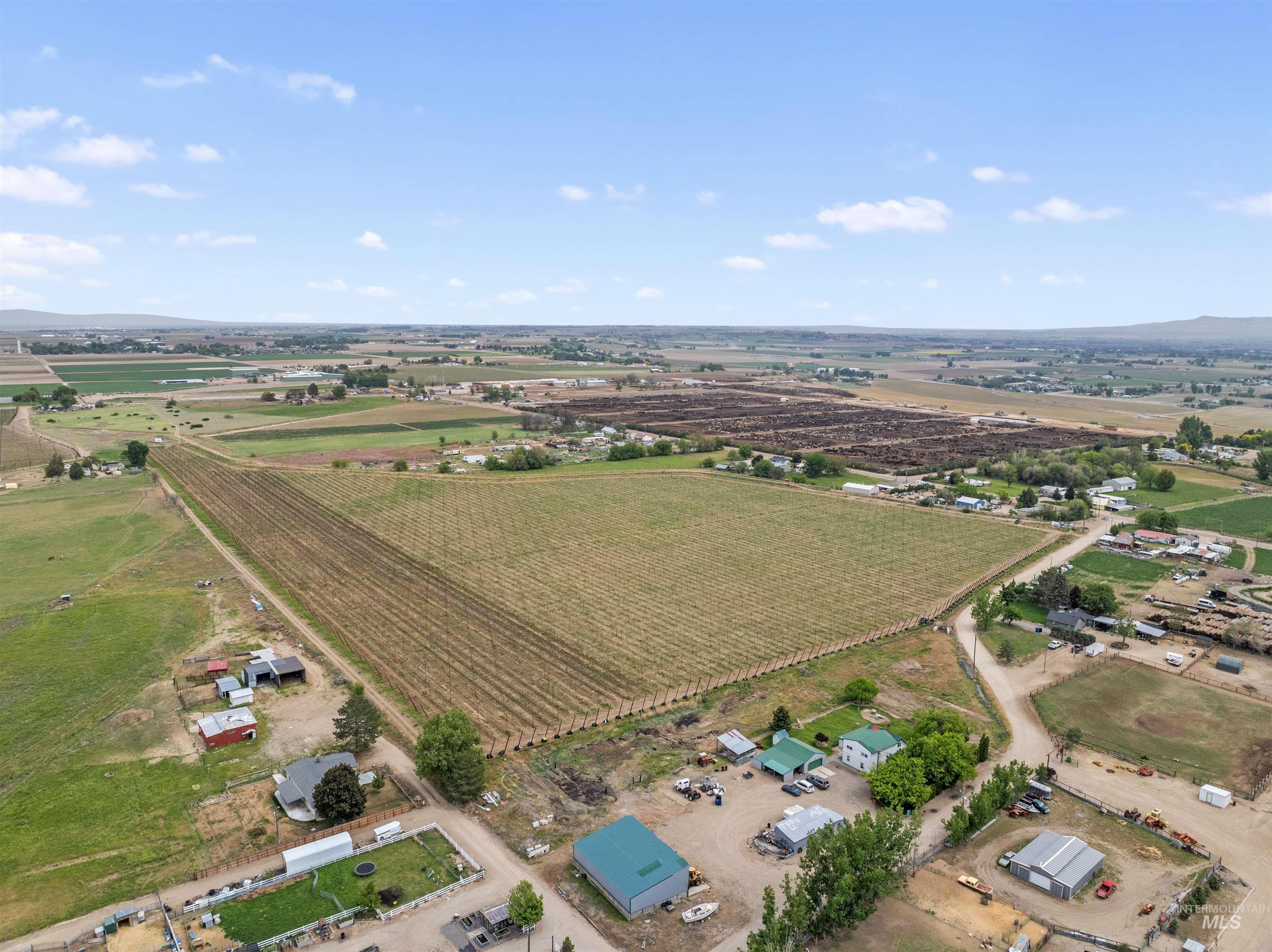 TBD Peckham Rd, Wilder, Idaho 83676, Land For Sale, Price $689,000, 98947080