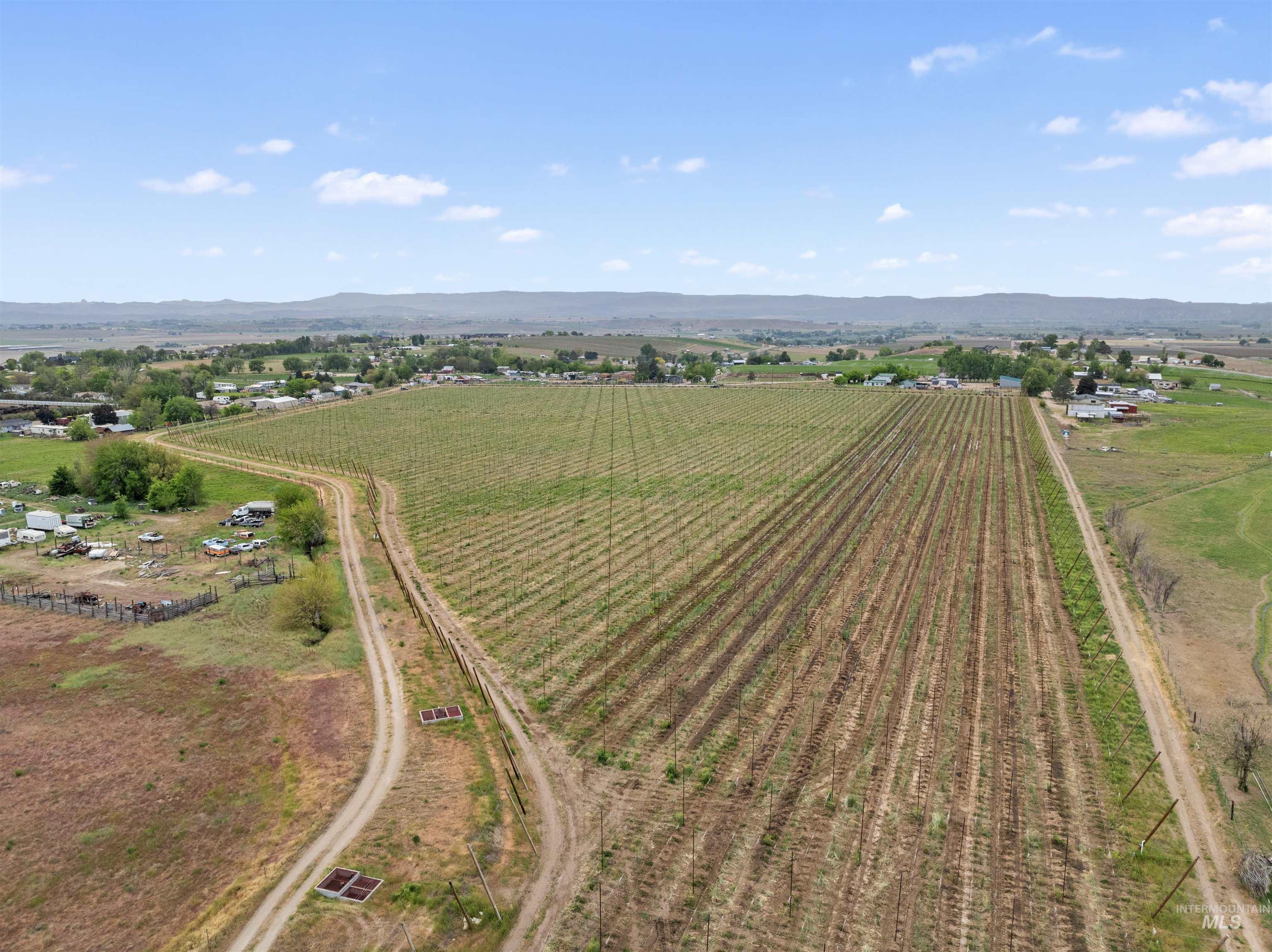 TBD Peckham Rd, Wilder, Idaho 83676, Land For Sale, Price $689,000, 98947080
