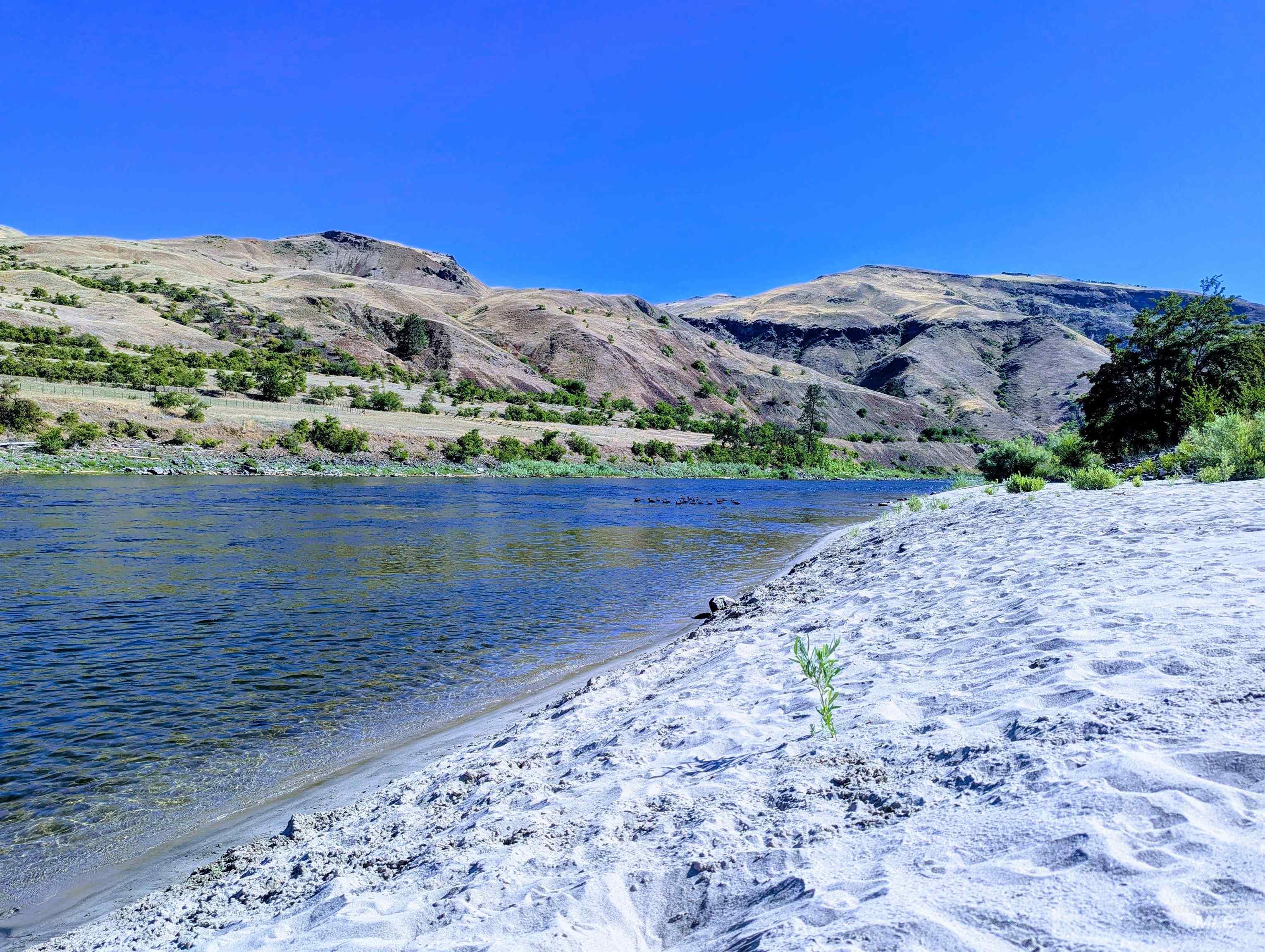 TBD River Bend Road, White Bird, Idaho 83354-8, Land For Sale, Price $1,295,000, 98947098