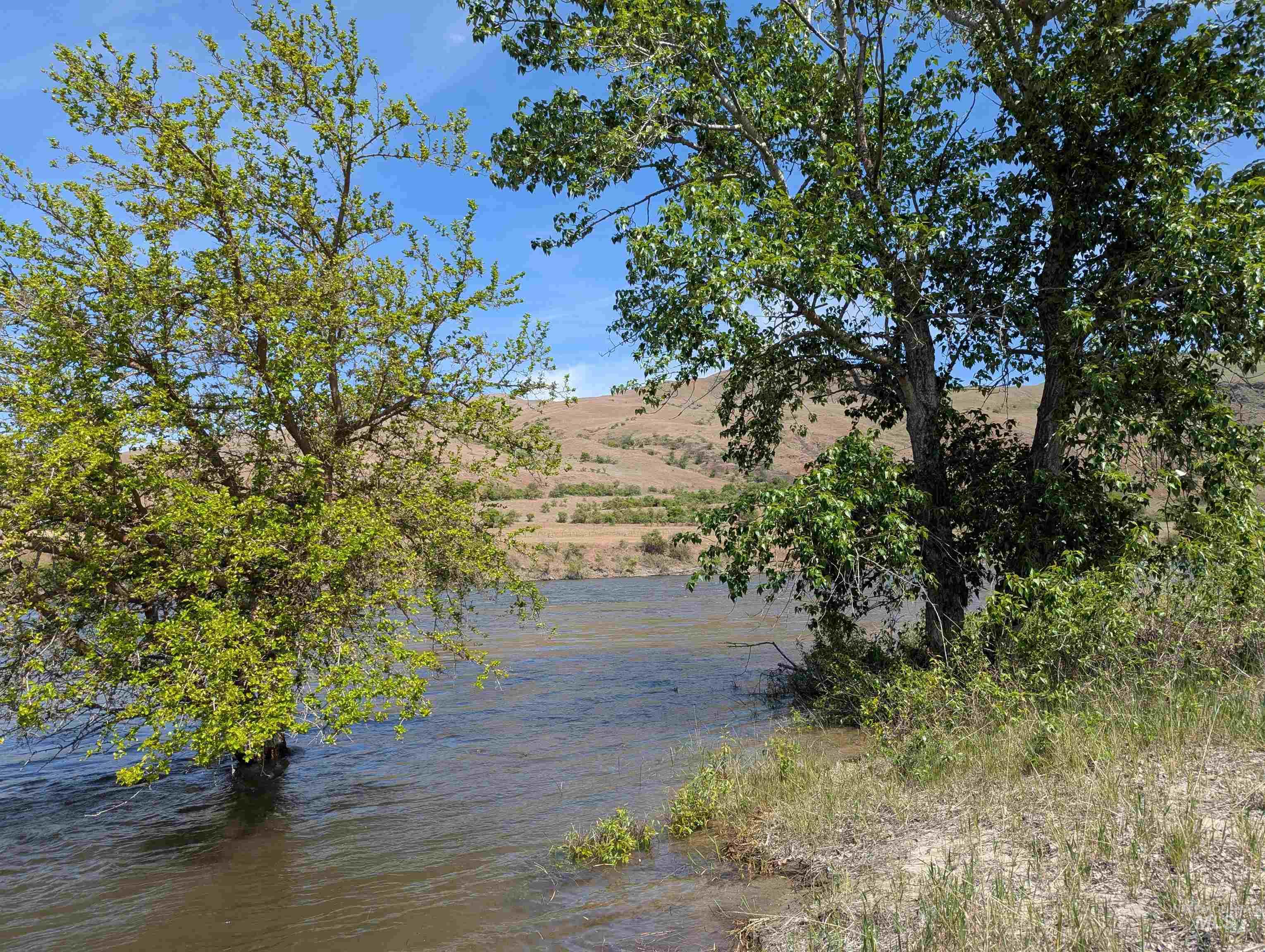 TBD River Bend Road, White Bird, Idaho 83354-8, Land For Sale, Price $1,295,000, 98947098