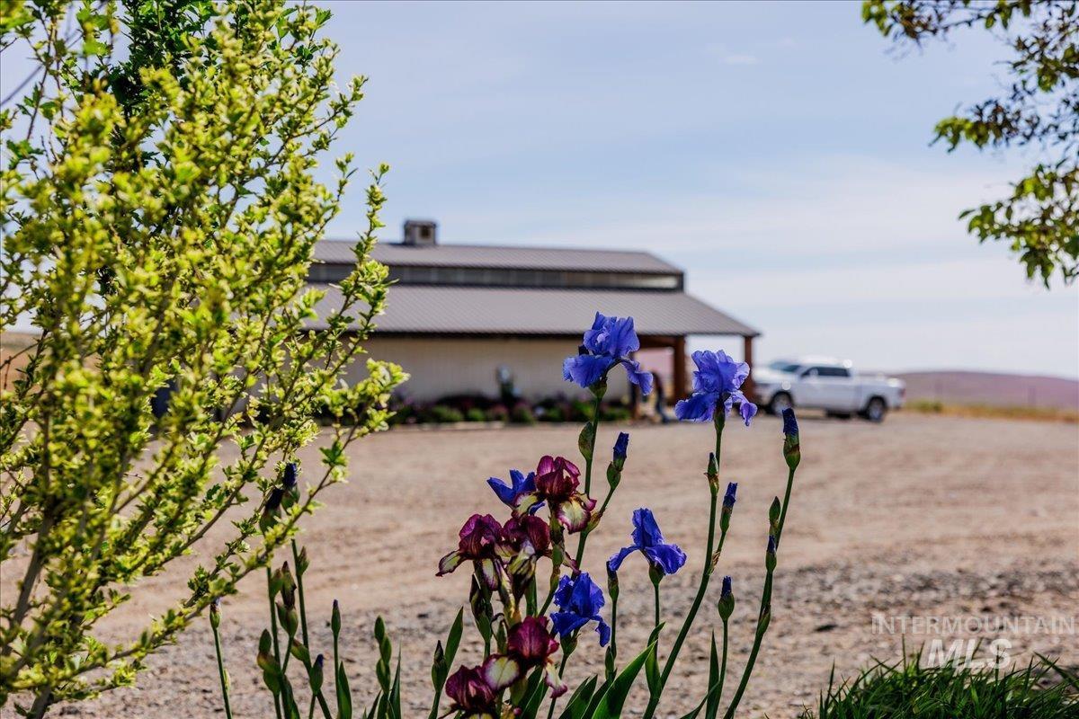 1270 Hillcrest Dr., Vale, Oregon 97918, 3 Bedrooms, 4 Bathrooms, Farm & Ranch For Sale, Price $2,400,000, 98947142