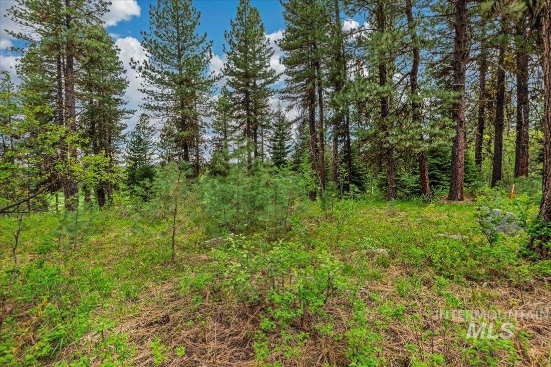 Lots 4 & 5 Whitetail Dr, McCall, Idaho 83638, Land For Sale, Price $1,395,000, 98947176