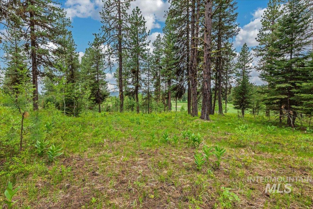 Lots 4 & 5 Whitetail Dr, McCall, Idaho 83638, Land For Sale, Price $1,395,000, 98947176