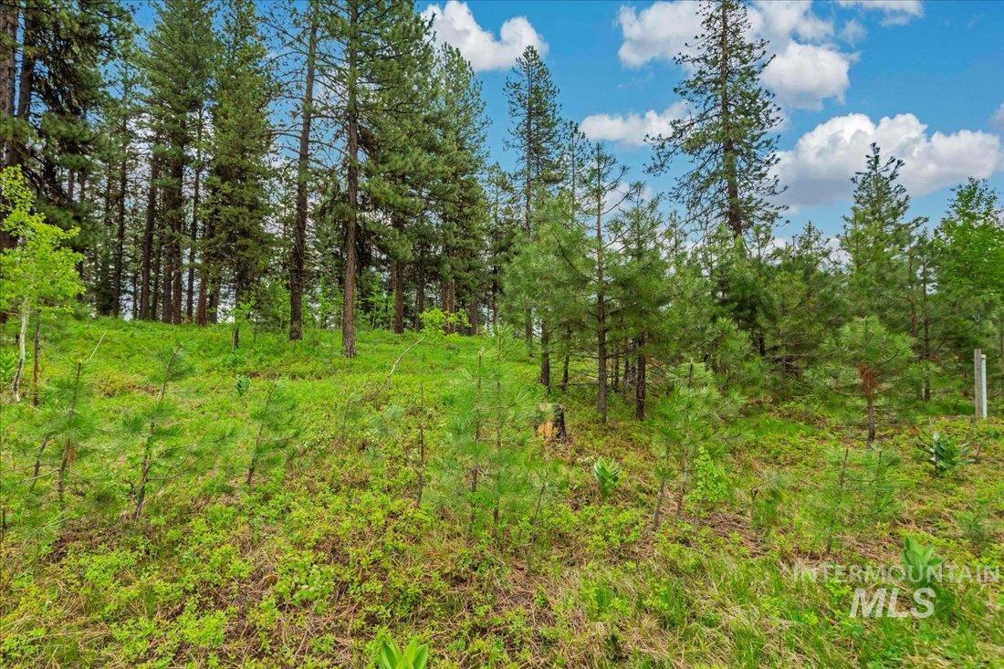 Lots 4 & 5 Whitetail Dr, McCall, Idaho 83638, Land For Sale, Price $1,395,000, 98947176