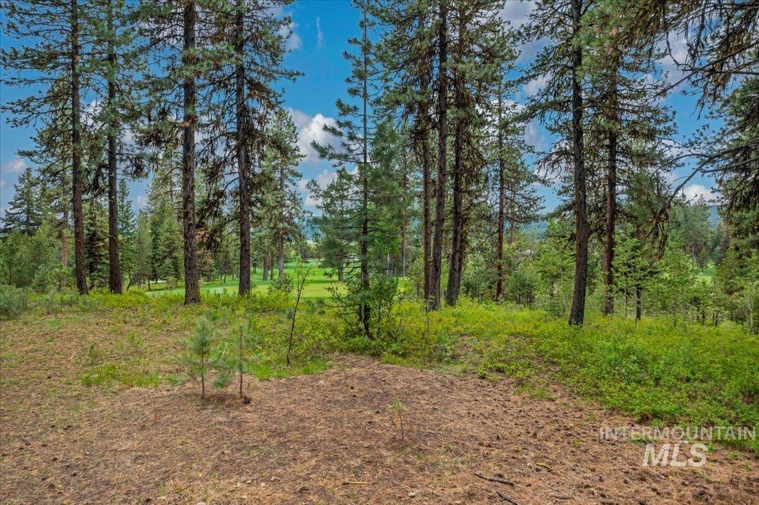 Lots 4 & 5 Whitetail Dr, McCall, Idaho 83638, Land For Sale, Price $1,395,000, 98947176