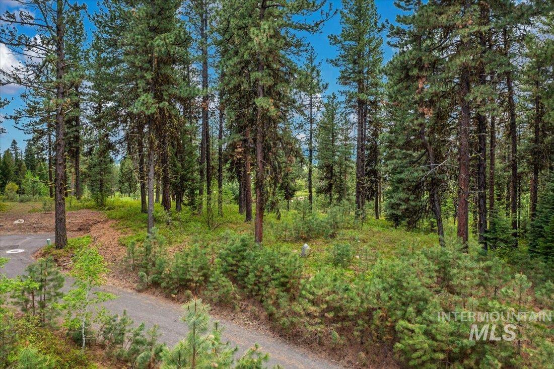 Lots 4 & 5 Whitetail Dr, McCall, Idaho 83638, Land For Sale, Price $1,395,000, 98947176