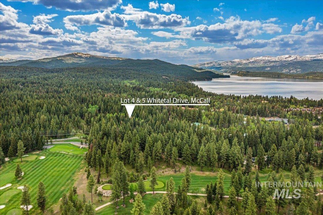 Lots 4 & 5 Whitetail Dr, McCall, Idaho 83638, Land For Sale, Price $1,395,000, 98947176
