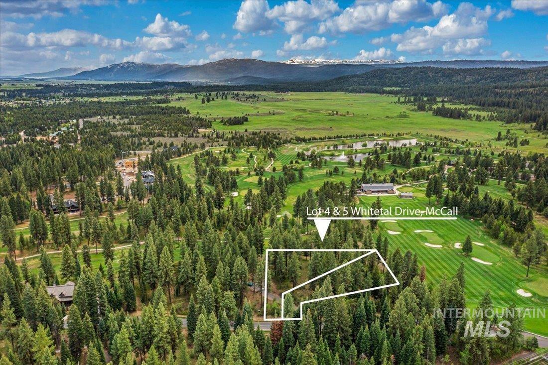 Lots 4 & 5 Whitetail Dr, McCall, Idaho 83638, Land For Sale, Price $1,395,000, 98947176