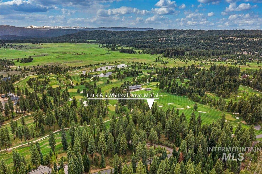 Lots 4 & 5 Whitetail Dr, McCall, Idaho 83638, Land For Sale, Price $1,395,000, 98947176