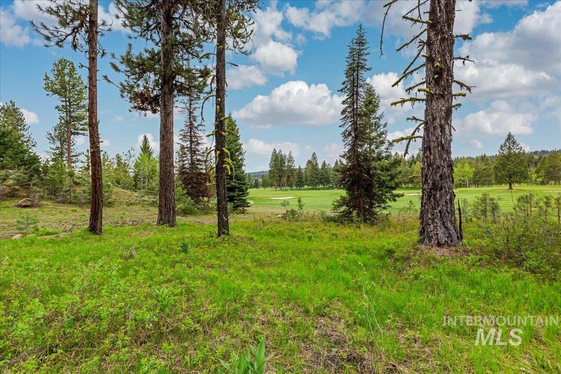 Lots 4 & 5 Whitetail Dr, McCall, Idaho 83638, Land For Sale, Price $1,395,000, 98947176