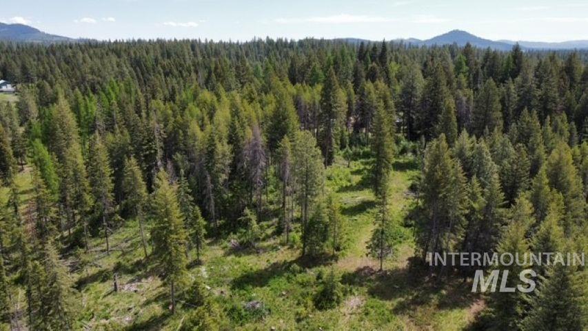 TBD Old Avon Rd., Deary, Idaho 83823, Land For Sale, Price $149,000, 98947186