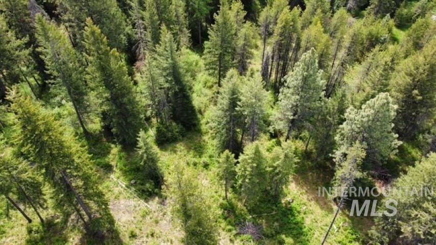 TBD Old Avon Rd., Deary, Idaho 83823, Land For Sale, Price $149,000, 98947186