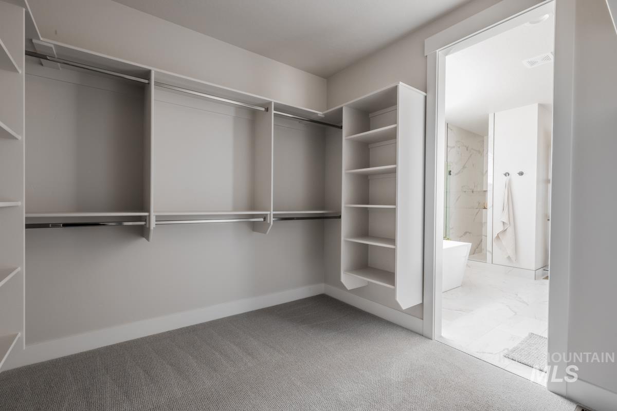 Spacious closet featuring carpet floors