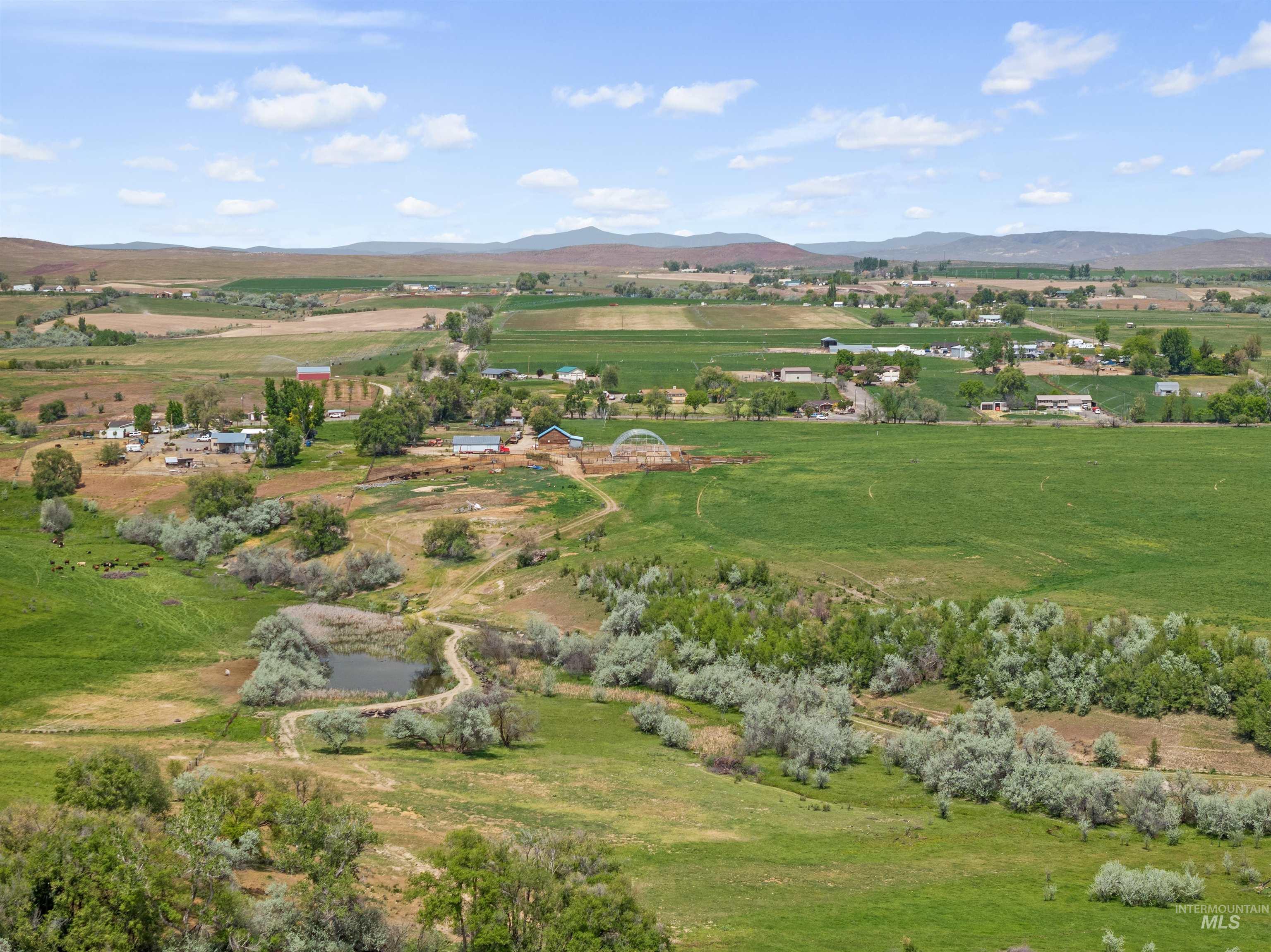 1925 Graham Boulevard, Vale, Oregon 97918, 4 Bedrooms, 2.5 Bathrooms, Farm & Ranch For Sale, Price $1,450,000, 98947344