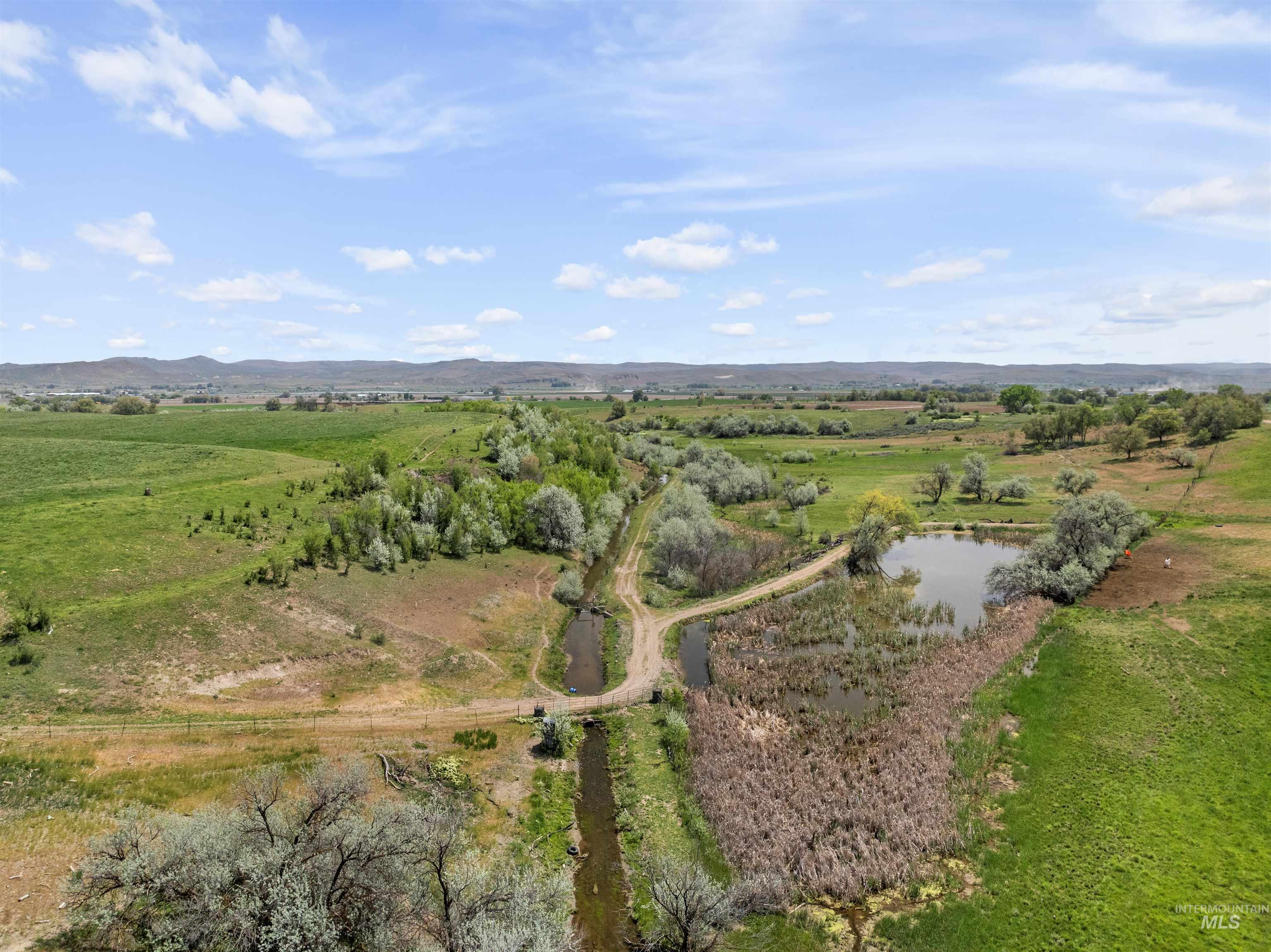 1925 Graham Boulevard, Vale, Oregon 97918, 4 Bedrooms, 2.5 Bathrooms, Farm & Ranch For Sale, Price $1,450,000, 98947344