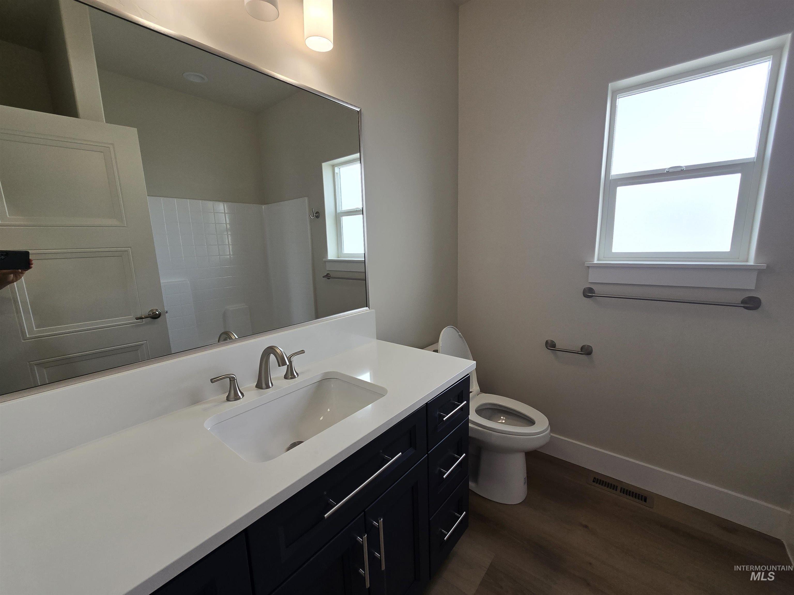 Bathroom featuring vanity, wood finished floors, and a shower