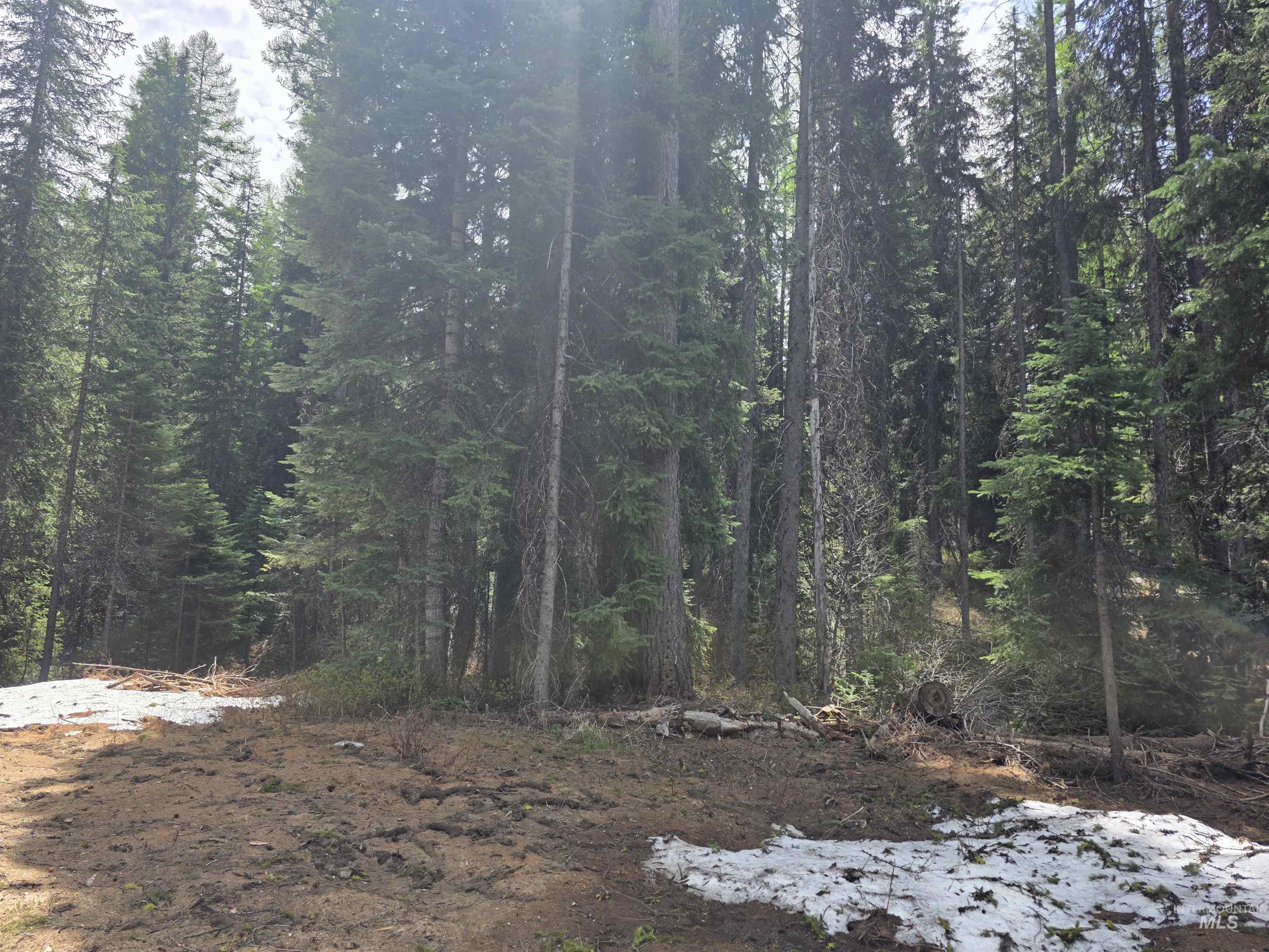 2260 Franks Road, Donnelly, Idaho 83615, Land For Sale, Price $249,900, 98947401