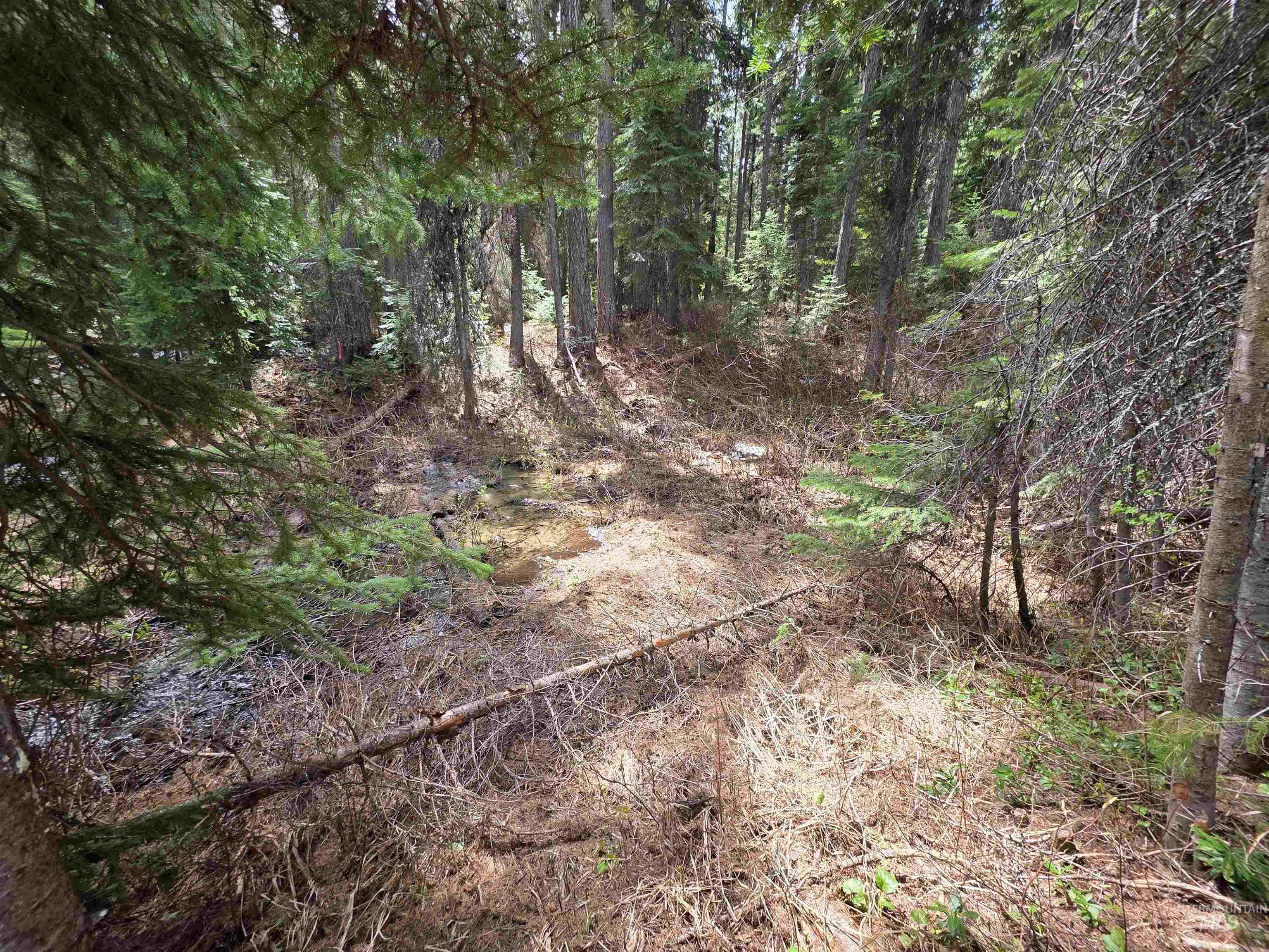 2260 Franks Road, Donnelly, Idaho 83615, Land For Sale, Price $249,900, 98947401