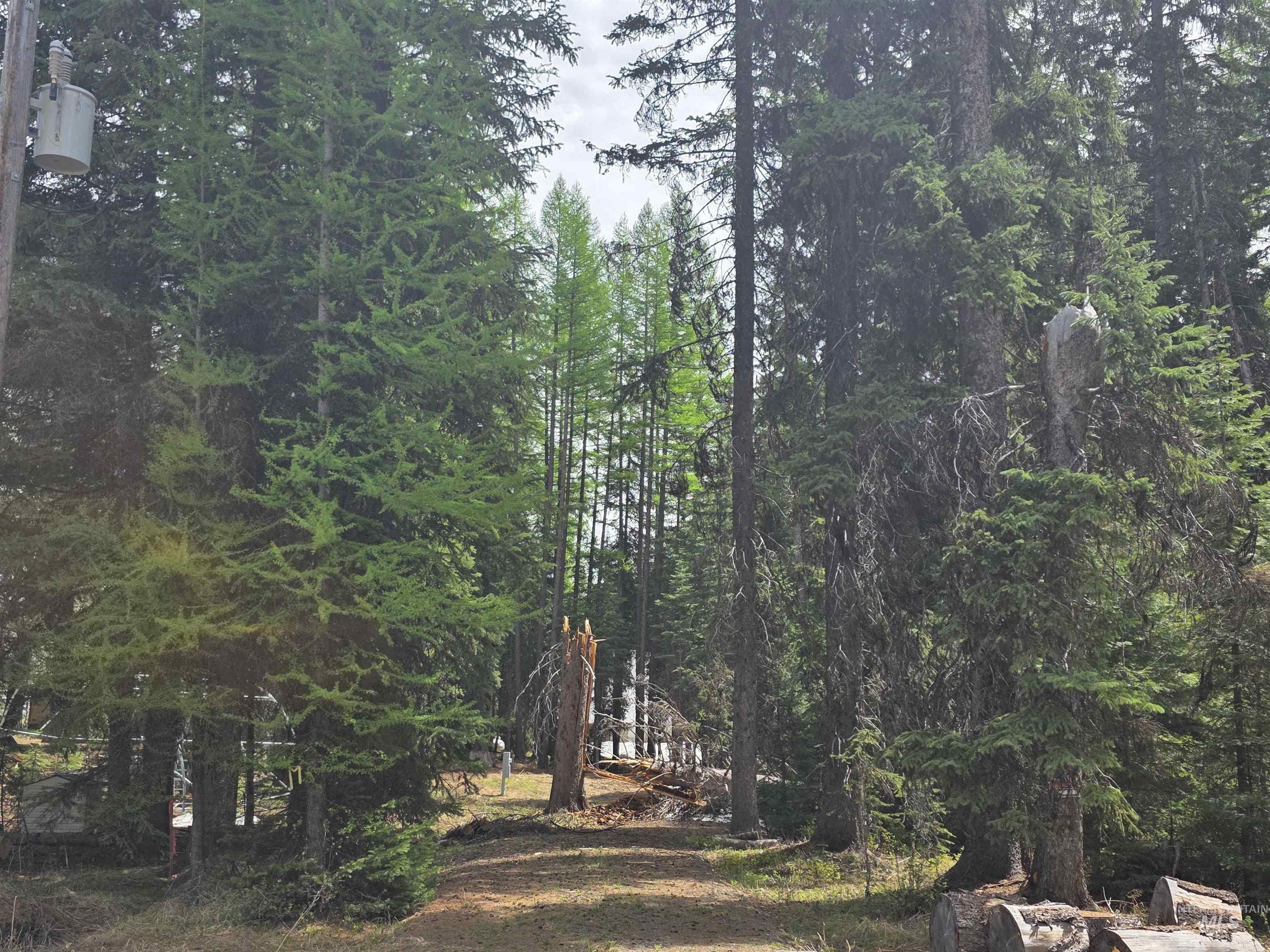 2260 Franks Road, Donnelly, Idaho 83615, Land For Sale, Price $249,900, 98947401
