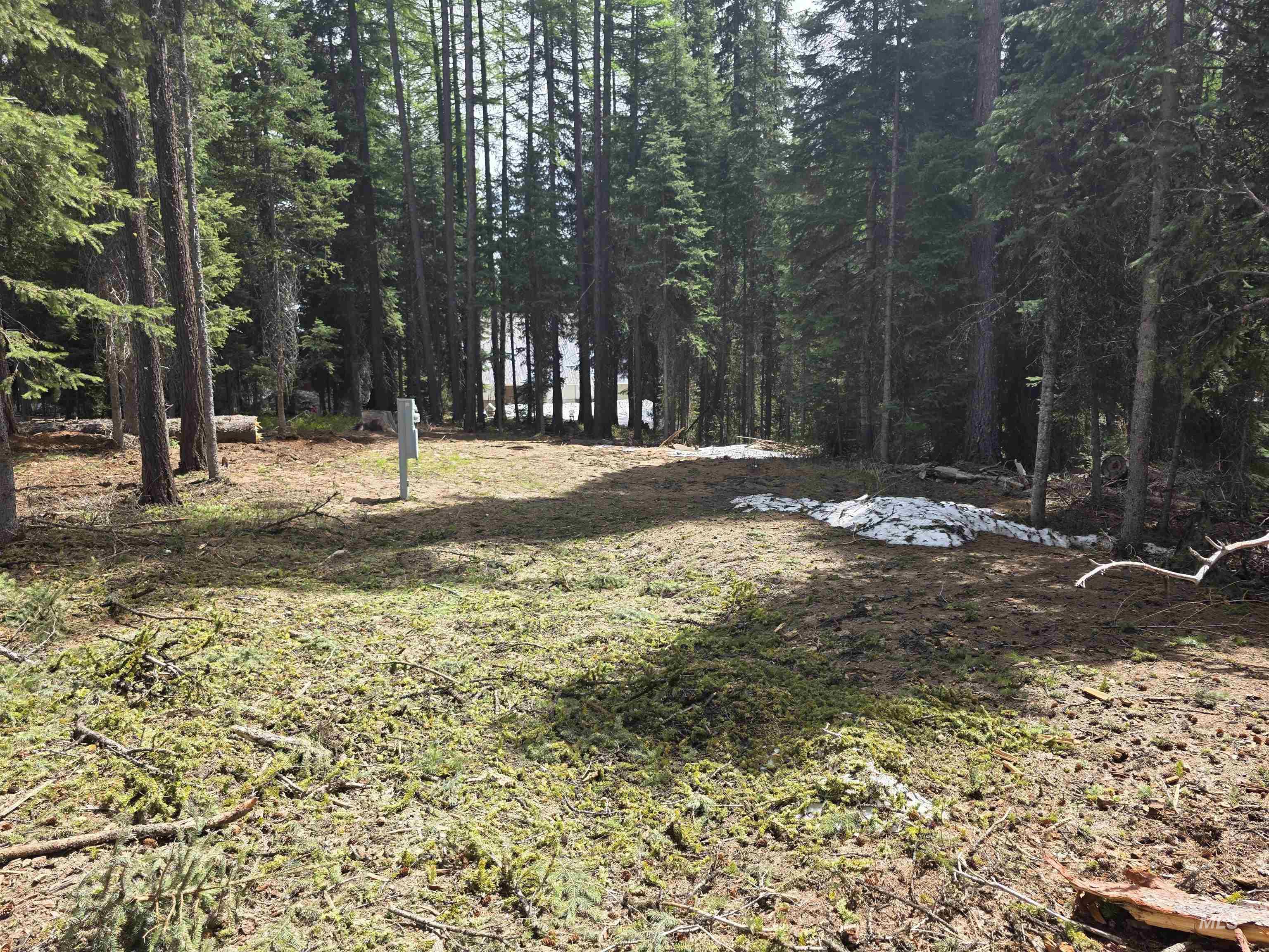 2260 Franks Road, Donnelly, Idaho 83615, Land For Sale, Price $249,900, 98947401