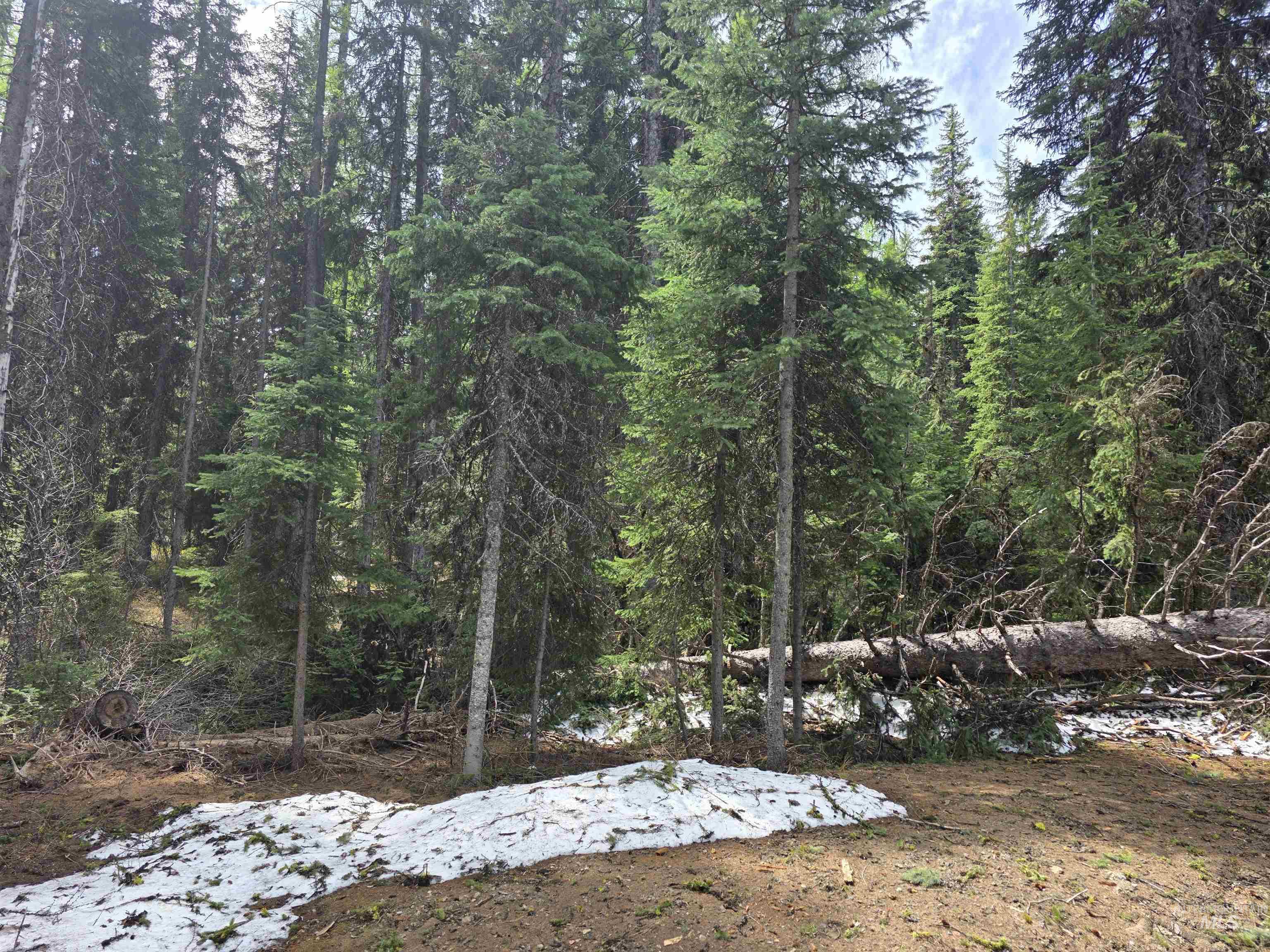 2260 Franks Road, Donnelly, Idaho 83615, Land For Sale, Price $249,900, 98947401