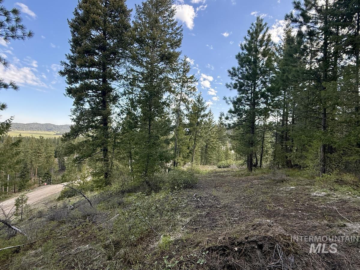 38 San Ignacio Way, Cascade, Idaho 83611, Land For Sale, Price $139,000, 98947446
