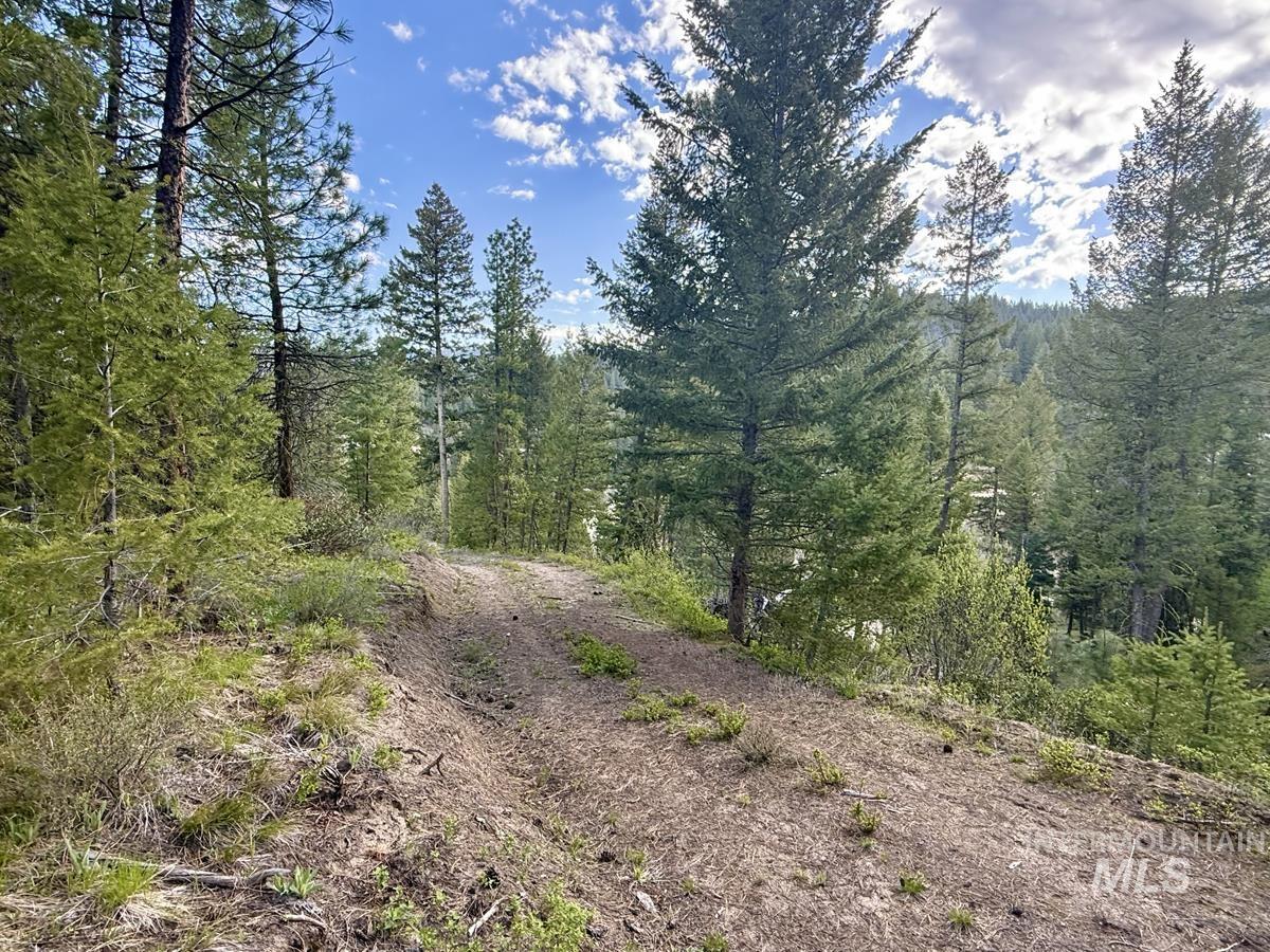 38 San Ignacio Way, Cascade, Idaho 83611, Land For Sale, Price $139,000, 98947446