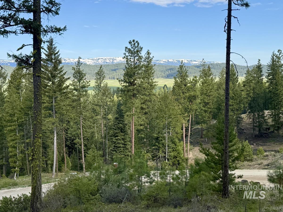 38 San Ignacio Way, Cascade, Idaho 83611, Land For Sale, Price $139,000, 98947446
