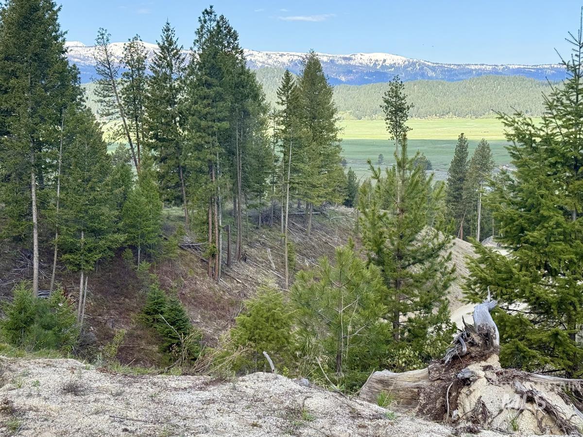 38 San Ignacio Way, Cascade, Idaho 83611, Land For Sale, Price $139,000, 98947446