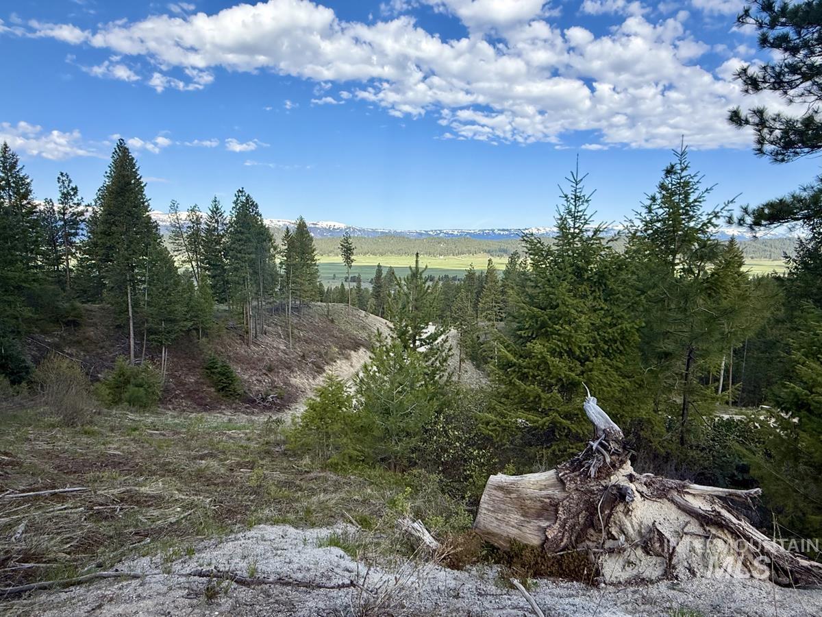 38 San Ignacio Way, Cascade, Idaho 83611, Land For Sale, Price $139,000, 98947446