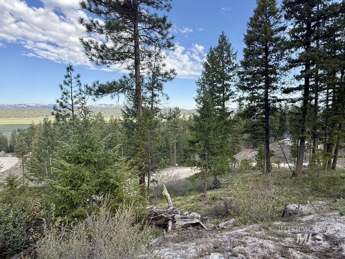 38 San Ignacio Way, Cascade, Idaho 83611, Land For Sale, Price $139,000, 98947446