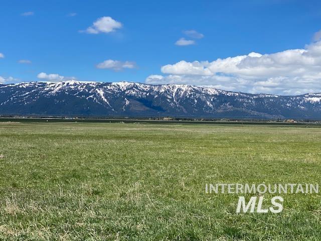 15 Ringo Lane, Donnelly, Idaho 83615, Land For Sale, Price $399,999, 98947483